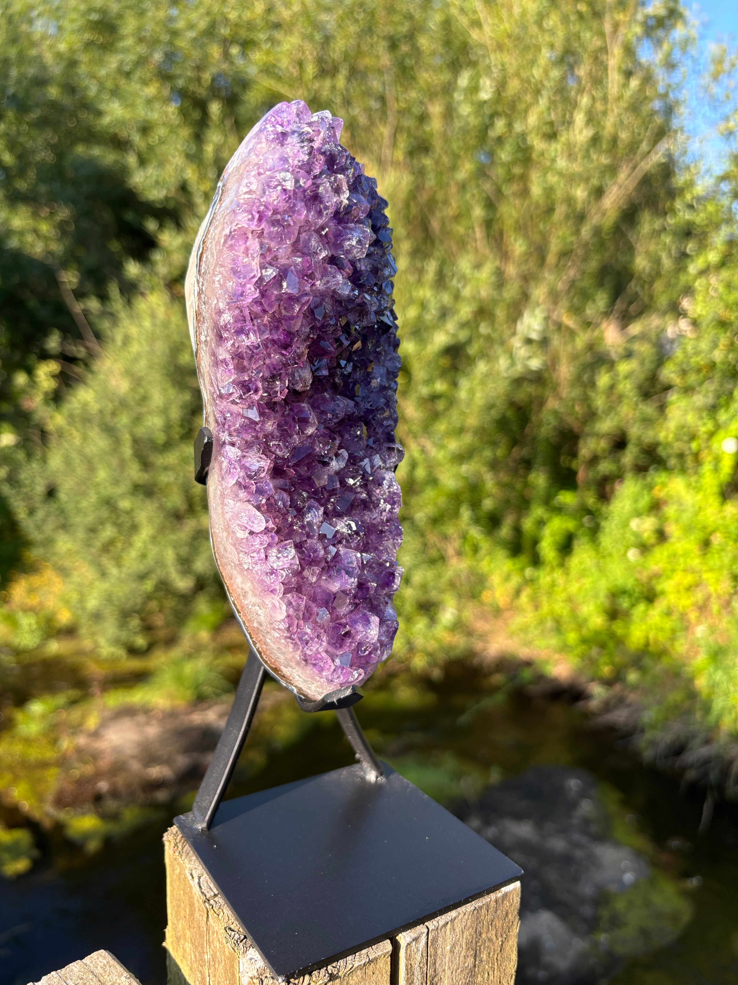 Extra Quality Amethyst Druzy Geode on Elegant Black Stand | Natural Brazilian Amethyst Cluster | Luxury Home Decor Crystal