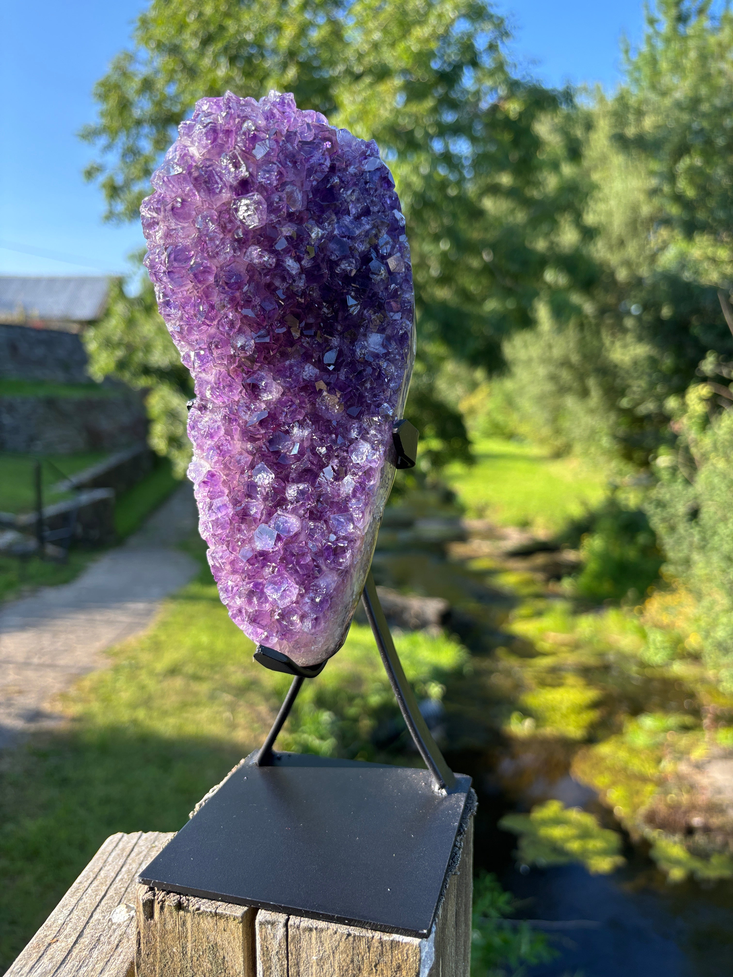 Extra Quality Amethyst Druzy Geode on Elegant Black Stand | Natural Brazilian Amethyst Cluster | Luxury Home Decor Crystal
