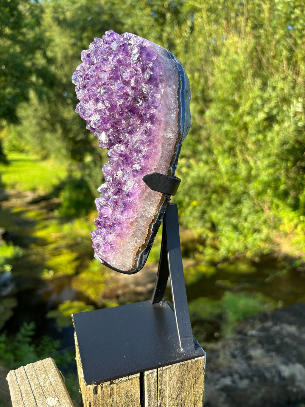 Extra Quality Amethyst Druzy Geode on Elegant Black Stand | Natural Brazilian Amethyst Cluster | Luxury Home Decor Crystal