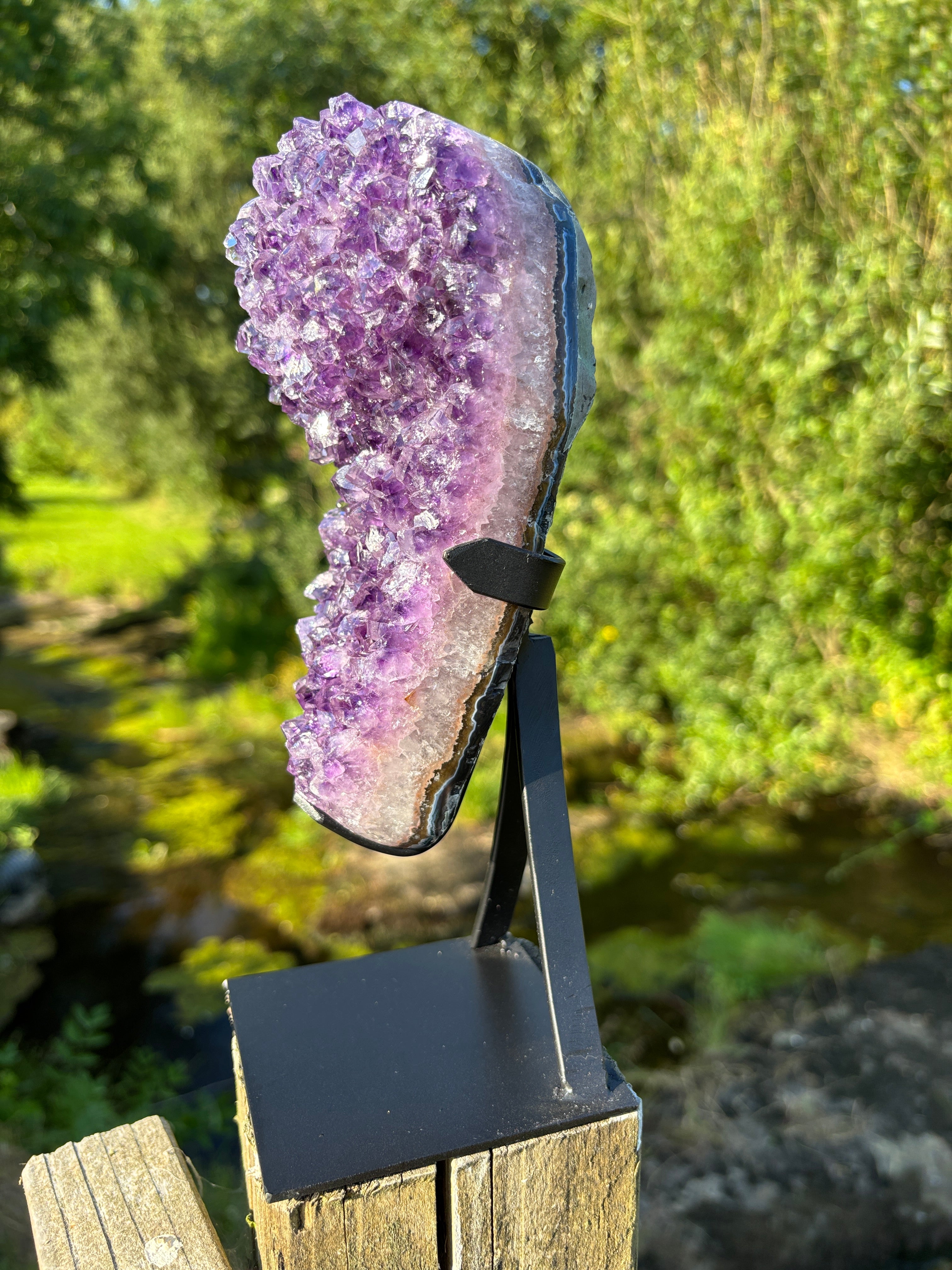 Extra Quality Amethyst Druzy Geode on Elegant Black Stand | Natural Brazilian Amethyst Cluster | Luxury Home Decor Crystal