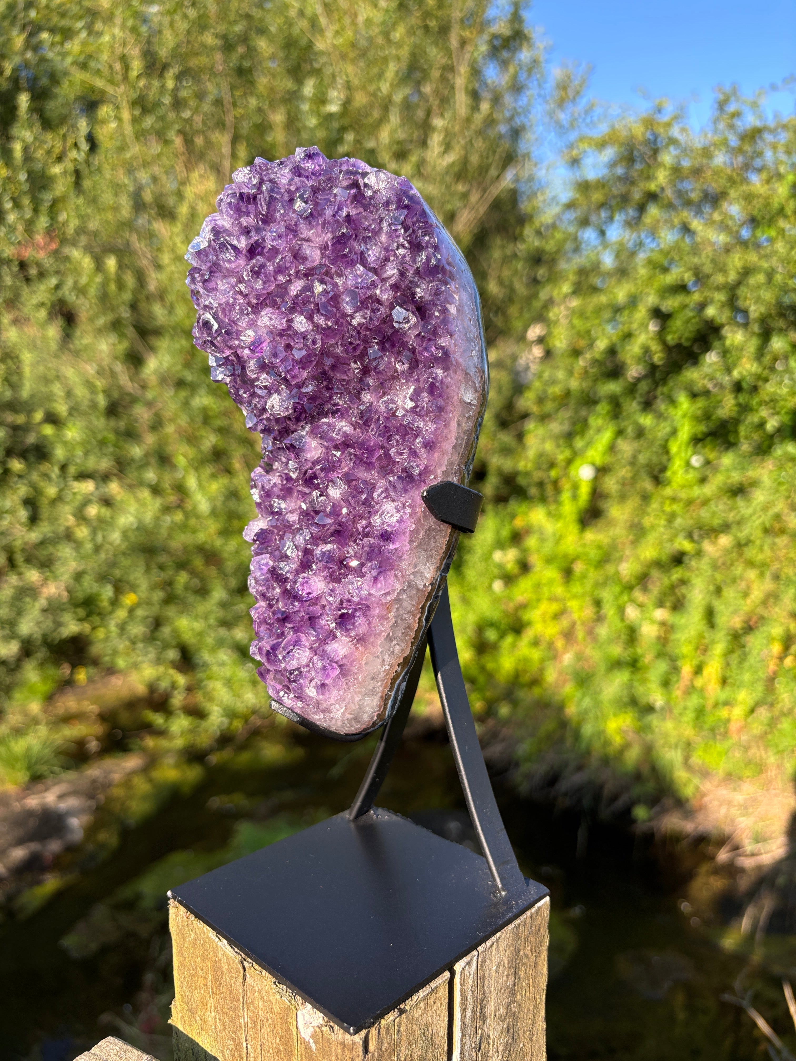 Extra Quality Amethyst Druzy Geode on Elegant Black Stand | Natural Brazilian Amethyst Cluster | Luxury Home Decor Crystal