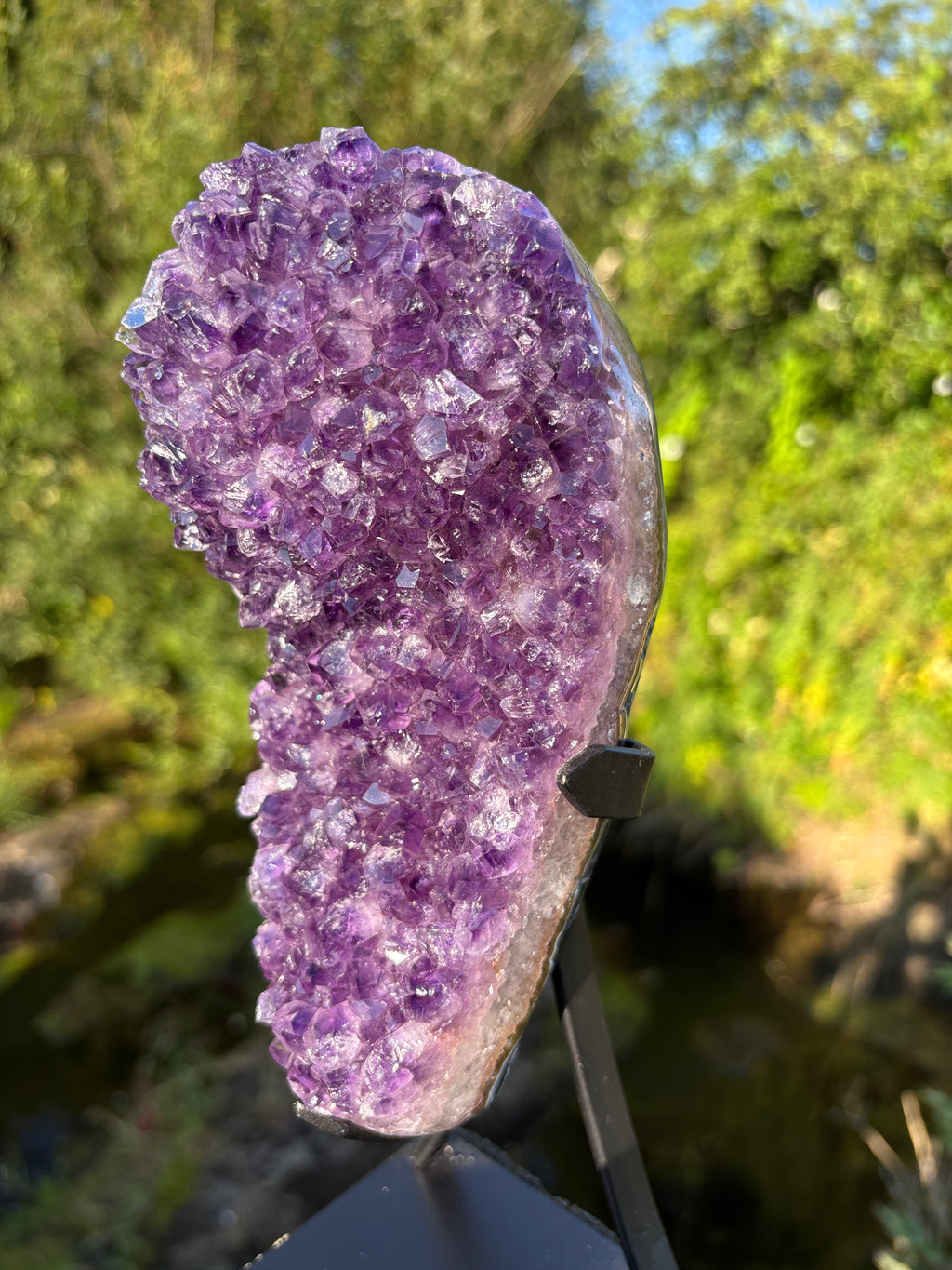 Extra Quality Amethyst Druzy Geode on Elegant Black Stand | Natural Brazilian Amethyst Cluster | Luxury Home Decor Crystal