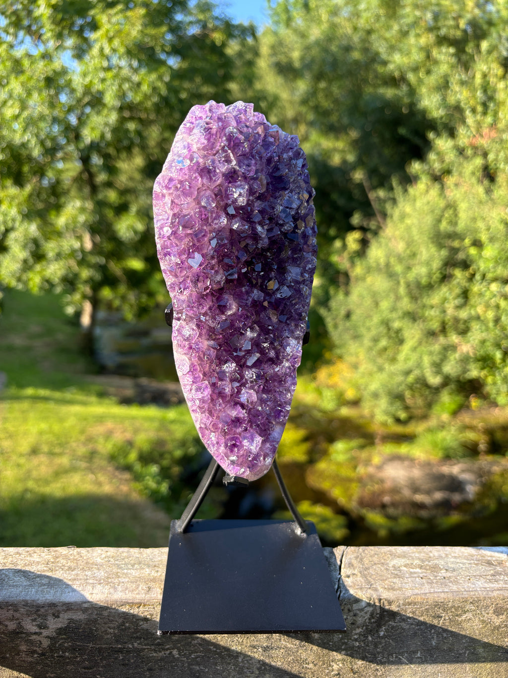 Extra Quality Amethyst Druzy Geode on Elegant Black Stand | Natural Brazilian Amethyst Cluster | Luxury Home Decor Crystal