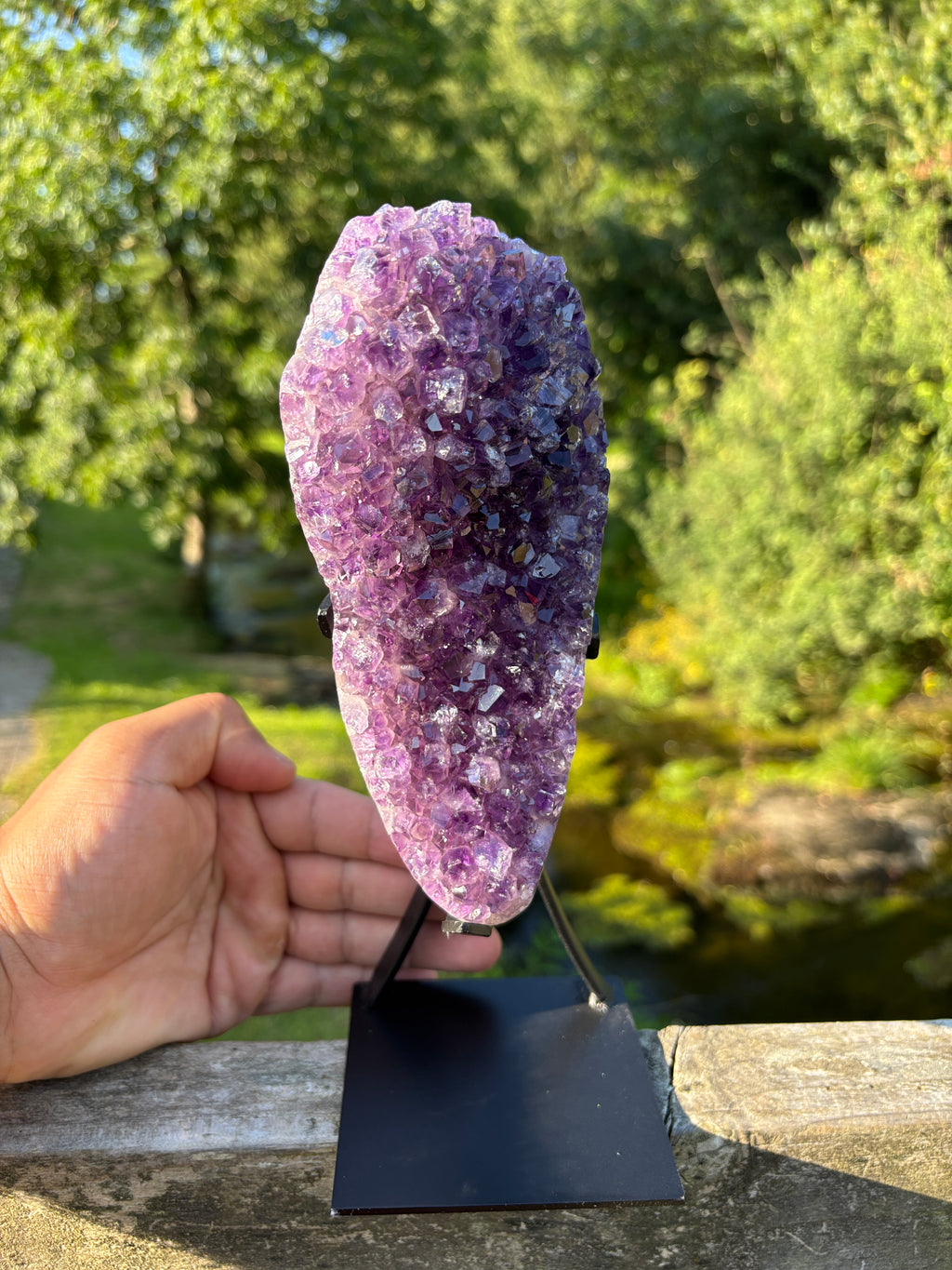 Extra Quality Amethyst Druzy Geode on Elegant Black Stand | Natural Brazilian Amethyst Cluster | Luxury Home Decor Crystal