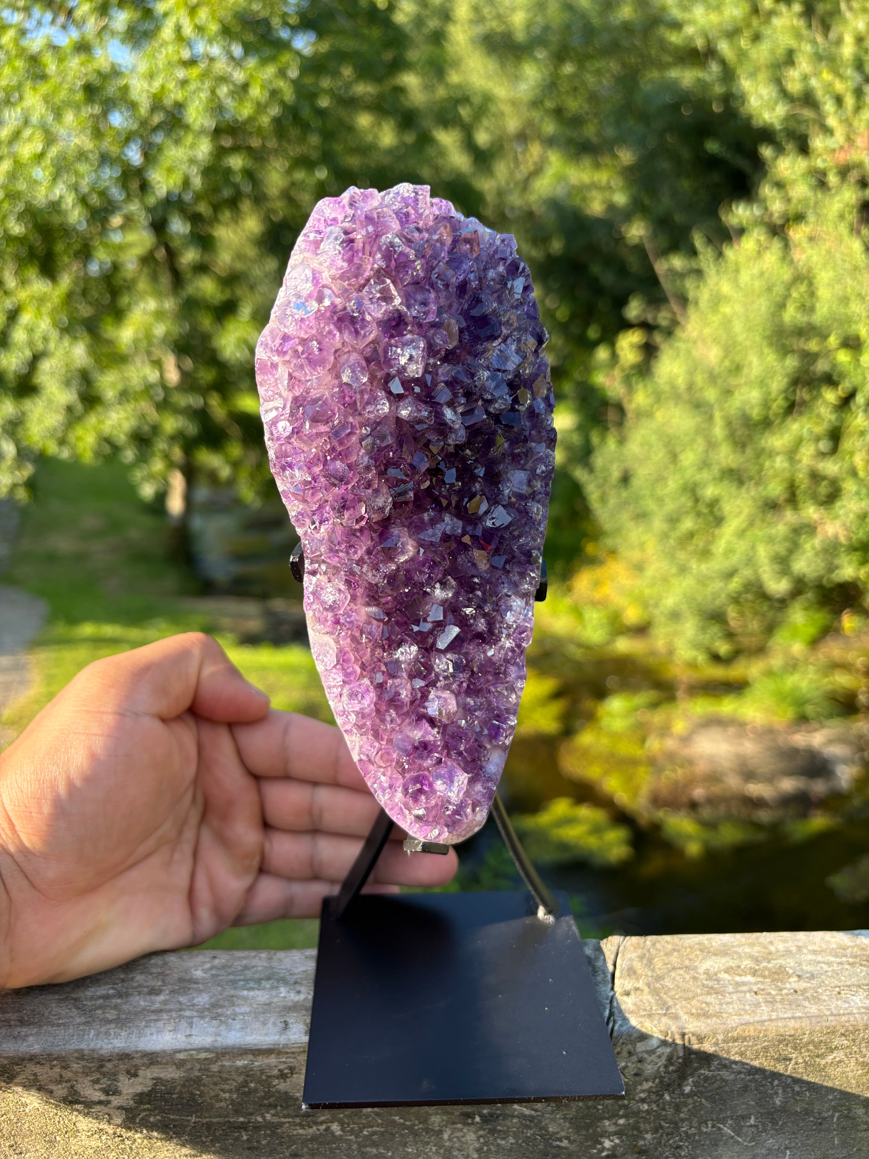 Extra Quality Amethyst Druzy Geode on Elegant Black Stand | Natural Brazilian Amethyst Cluster | Luxury Home Decor Crystal