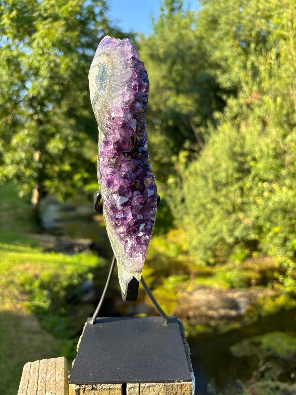 Extra Quality Amethyst Druzy Geode on Elegant Black Stand | Natural Brazilian Amethyst Cluster | Luxury Home Decor Crystal