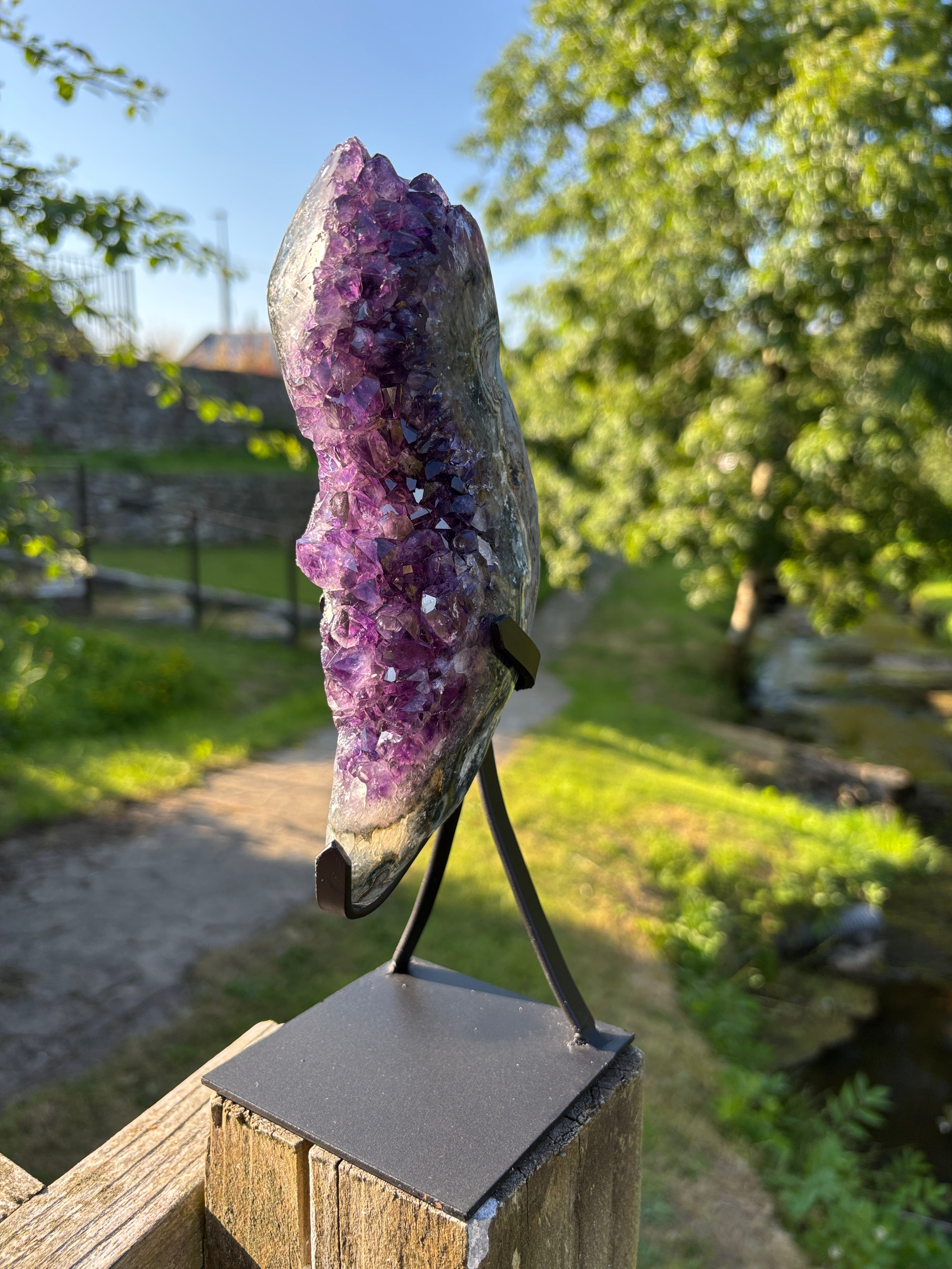 Extra Quality Amethyst Druzy Geode on Elegant Black Stand | Natural Brazilian Amethyst Cluster | Luxury Home Decor Crystal