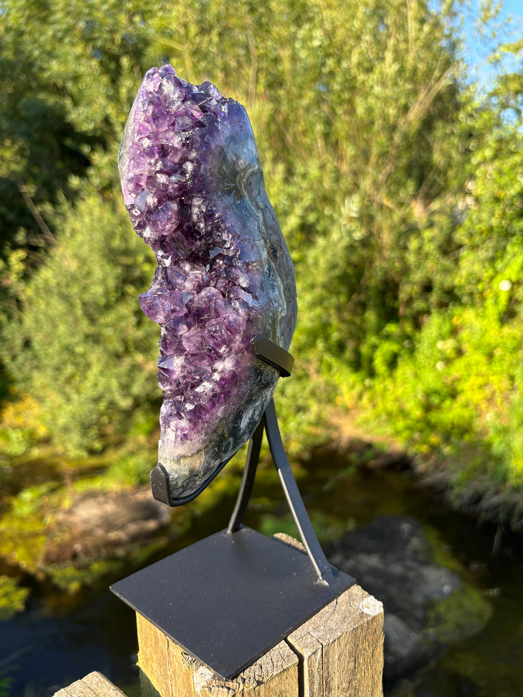 Extra Quality Amethyst Druzy Geode on Elegant Black Stand | Natural Brazilian Amethyst Cluster | Luxury Home Decor Crystal