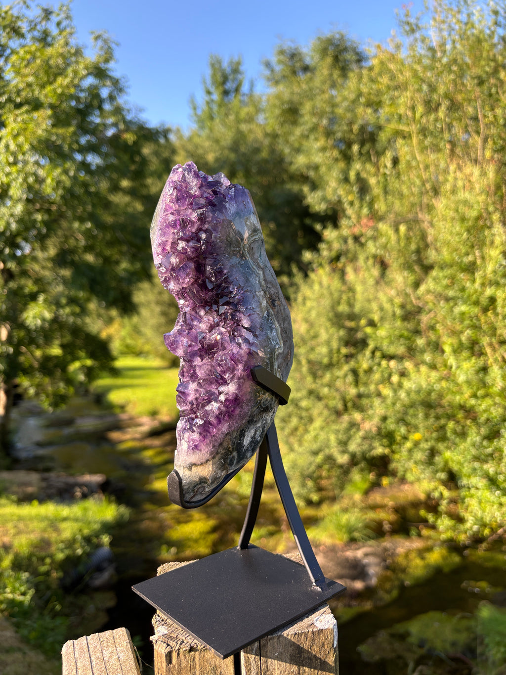 Extra Quality Amethyst Druzy Geode on Elegant Black Stand | Natural Brazilian Amethyst Cluster | Luxury Home Decor Crystal