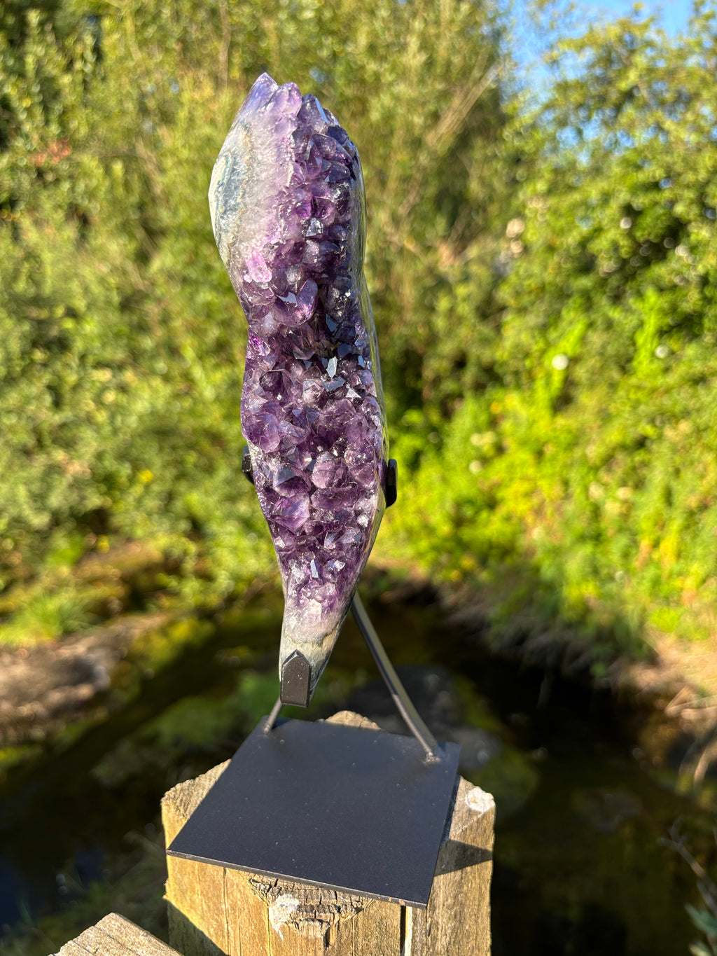 Extra Quality Amethyst Druzy Geode on Elegant Black Stand | Natural Brazilian Amethyst Cluster | Luxury Home Decor Crystal