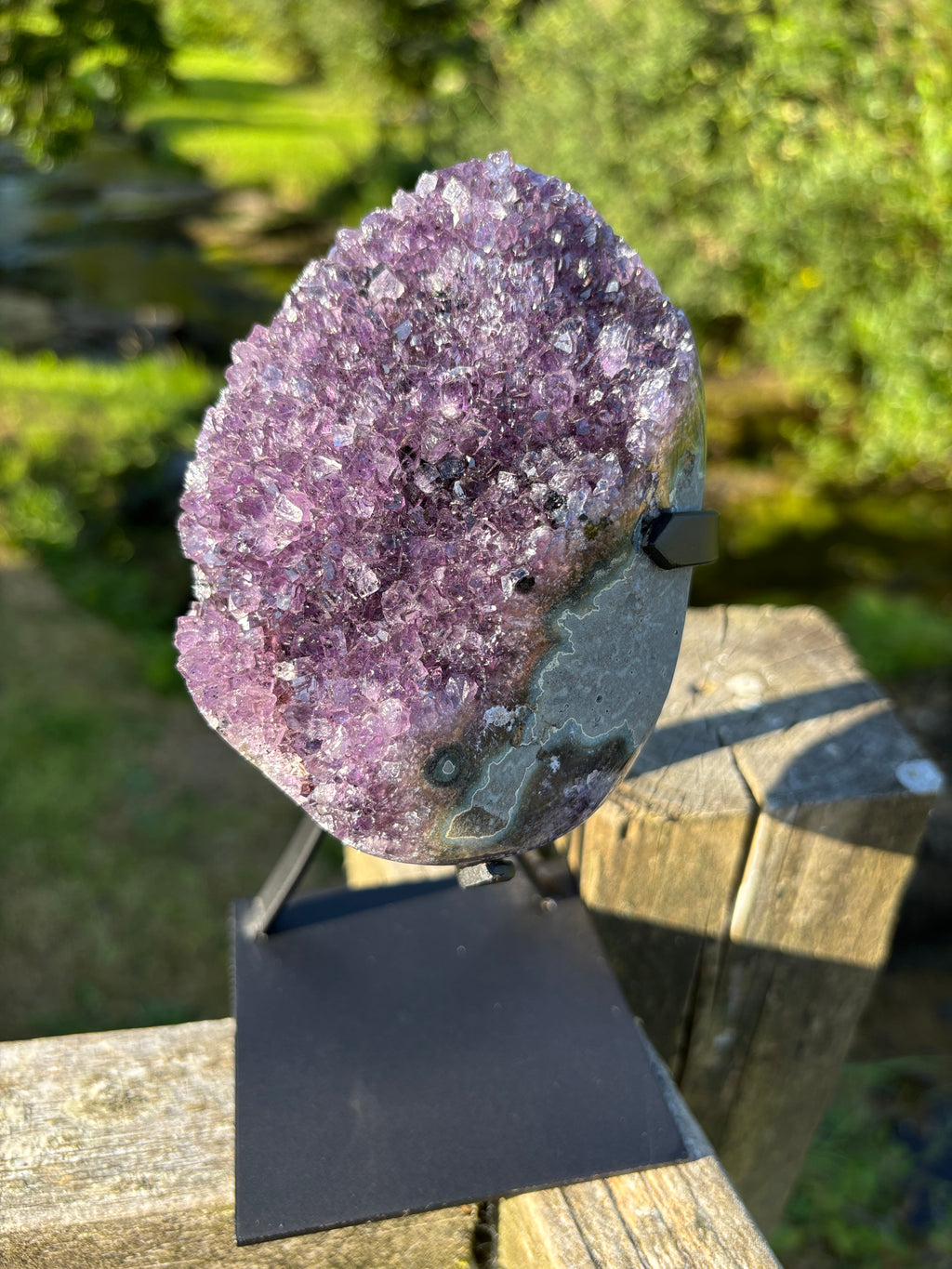 Extra Quality Amethyst Druzy Geode on Elegant Black Stand | Natural Brazilian Amethyst Cluster | Luxury Home Decor Crystal