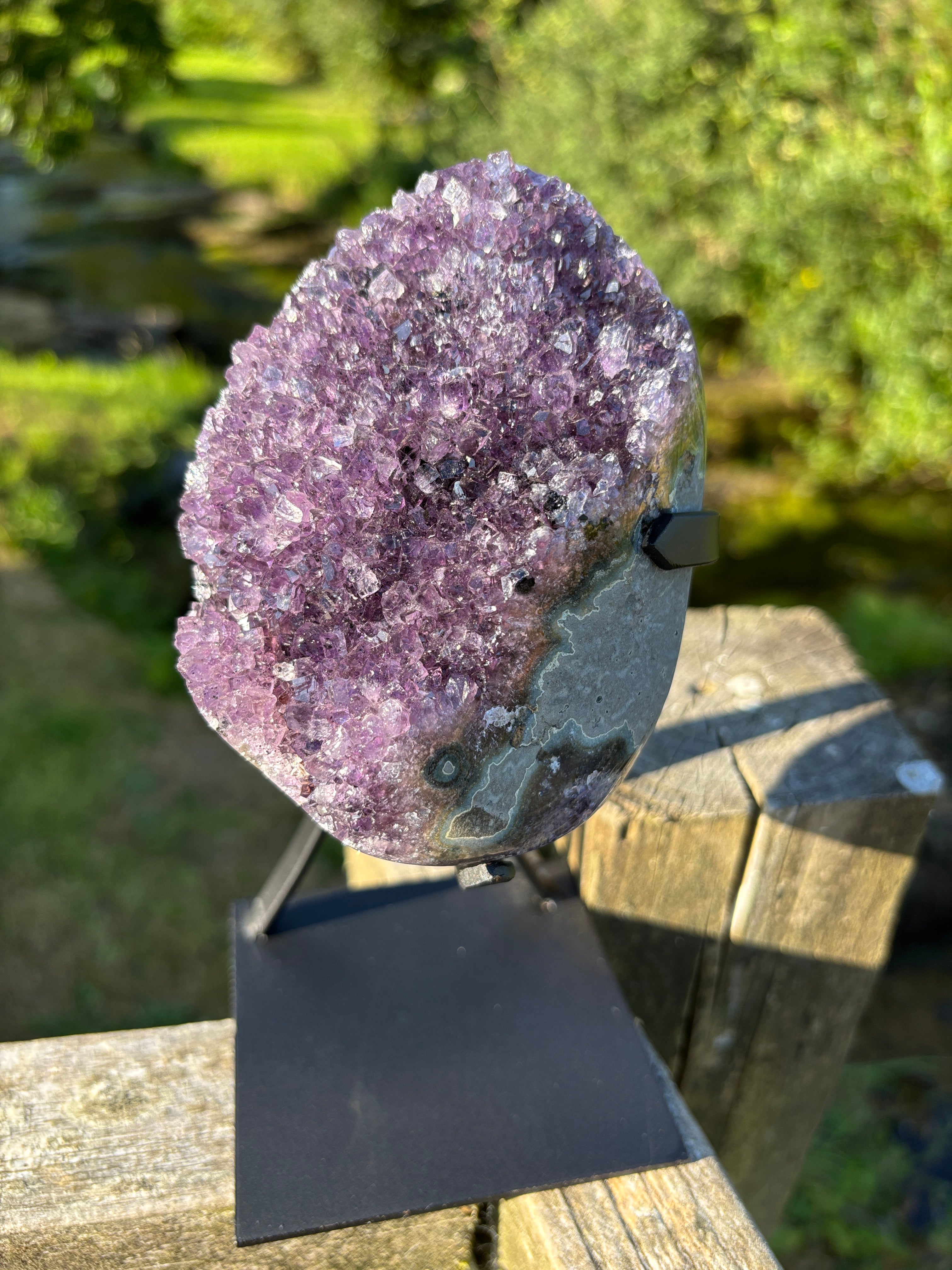Extra Quality Amethyst Druzy Geode on Elegant Black Stand | Natural Brazilian Amethyst Cluster | Luxury Home Decor Crystal
