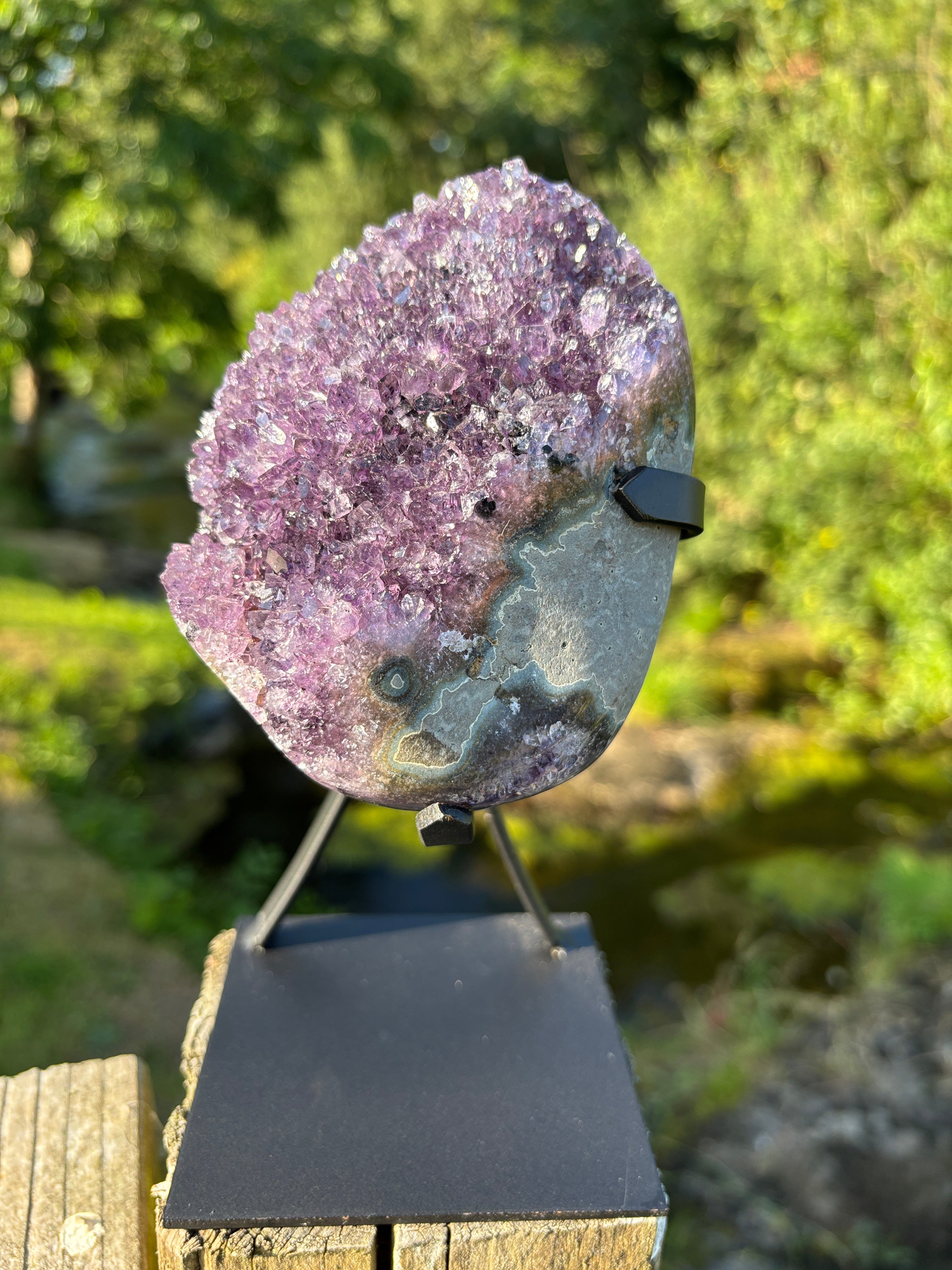 Extra Quality Amethyst Druzy Geode on Elegant Black Stand | Natural Brazilian Amethyst Cluster | Luxury Home Decor Crystal