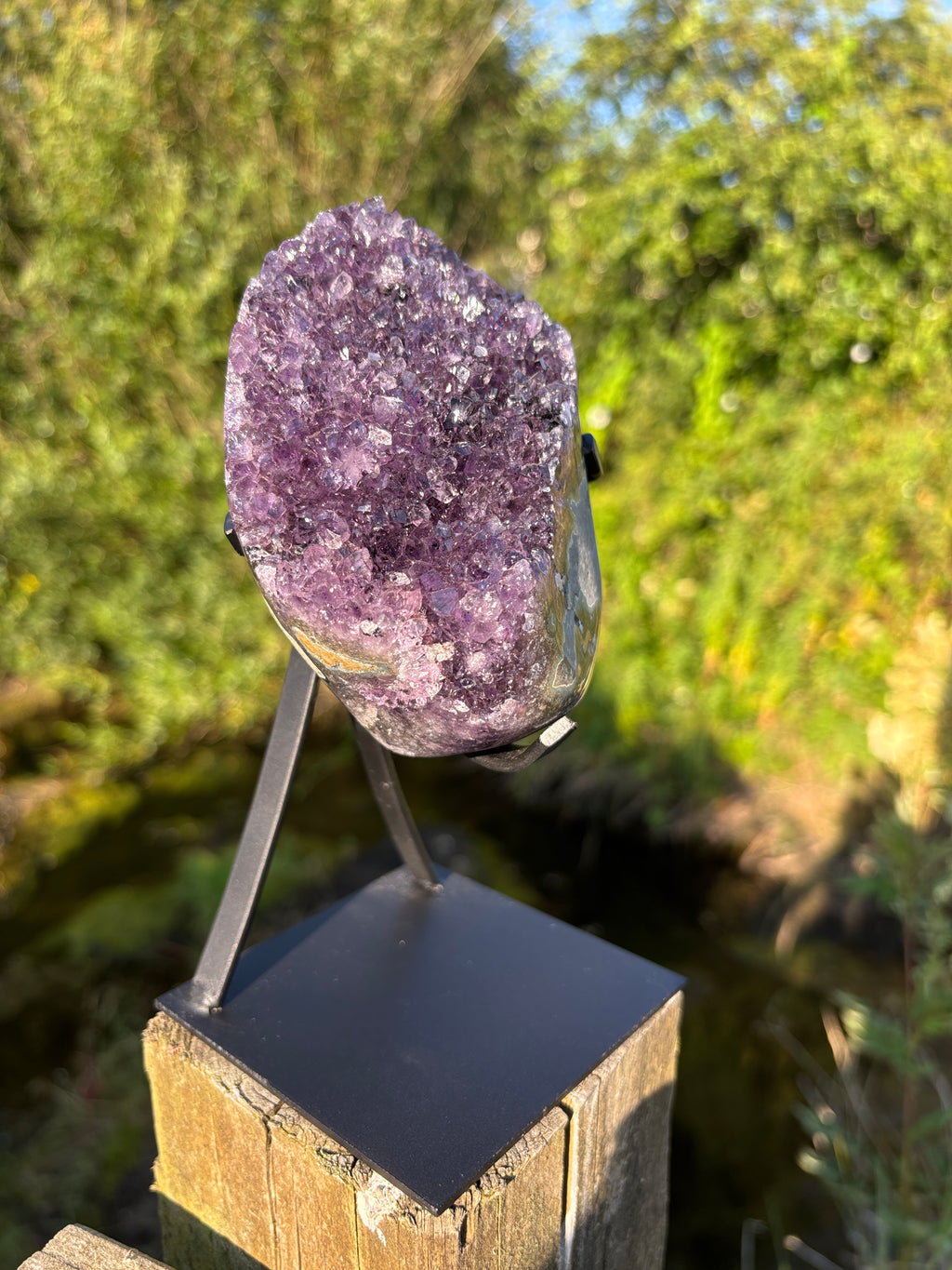 Extra Quality Amethyst Druzy Geode on Elegant Black Stand | Natural Brazilian Amethyst Cluster | Luxury Home Decor Crystal