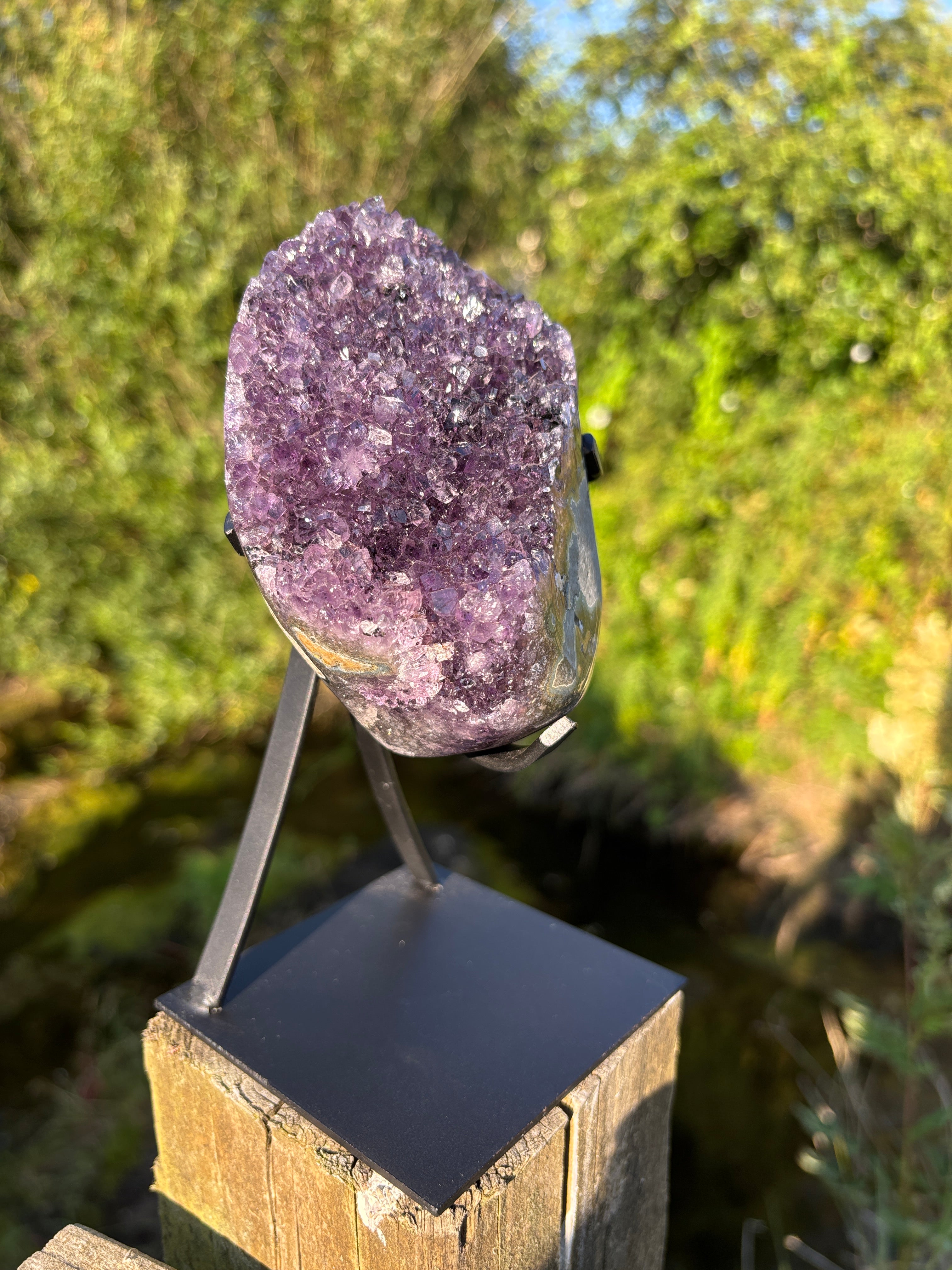 Extra Quality Amethyst Druzy Geode on Elegant Black Stand | Natural Brazilian Amethyst Cluster | Luxury Home Decor Crystal