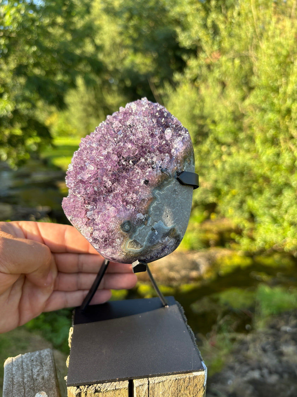 Extra Quality Amethyst Druzy Geode on Elegant Black Stand | Natural Brazilian Amethyst Cluster | Luxury Home Decor Crystal