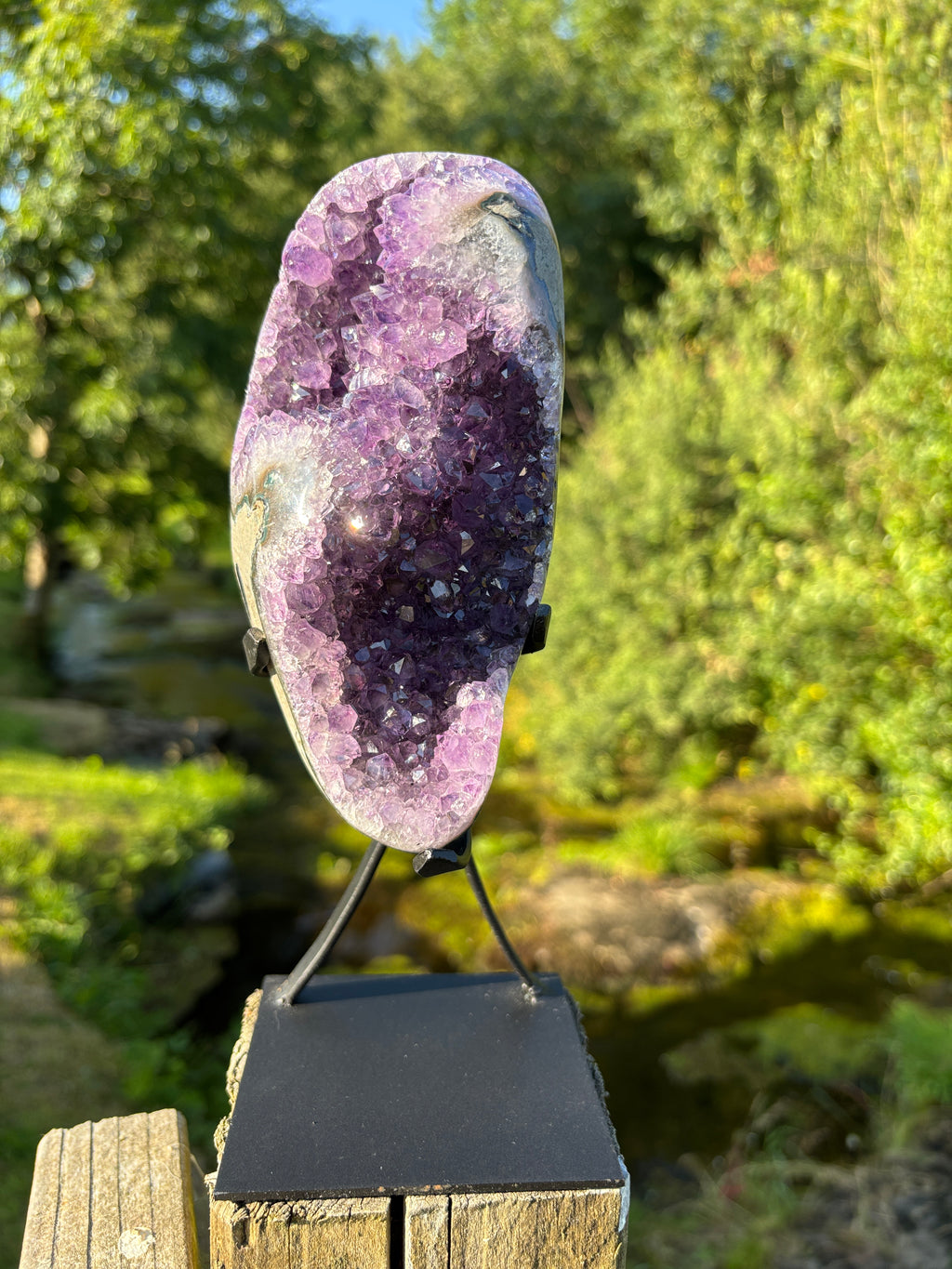 Extra Quality Amethyst Druzy Geode on Elegant Black Stand | Natural Brazilian Amethyst Cluster | Luxury Home Decor Crystal