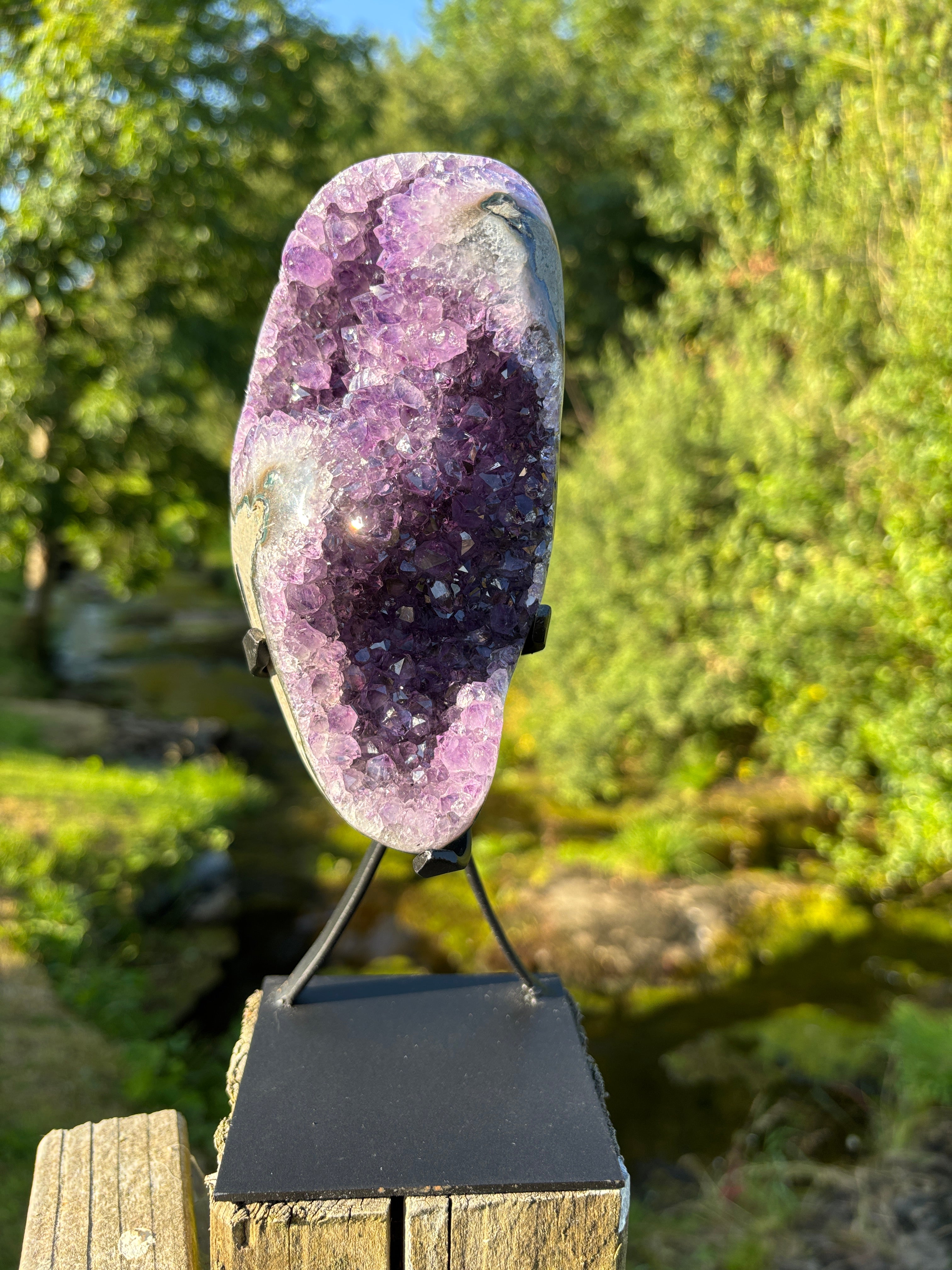 Extra Quality Amethyst Druzy Geode on Elegant Black Stand | Natural Brazilian Amethyst Cluster | Luxury Home Decor Crystal