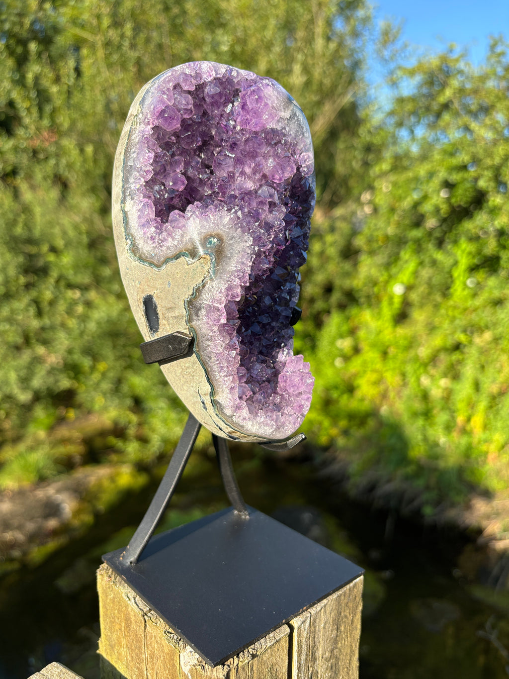 Extra Quality Amethyst Druzy Geode on Elegant Black Stand | Natural Brazilian Amethyst Cluster | Luxury Home Decor Crystal