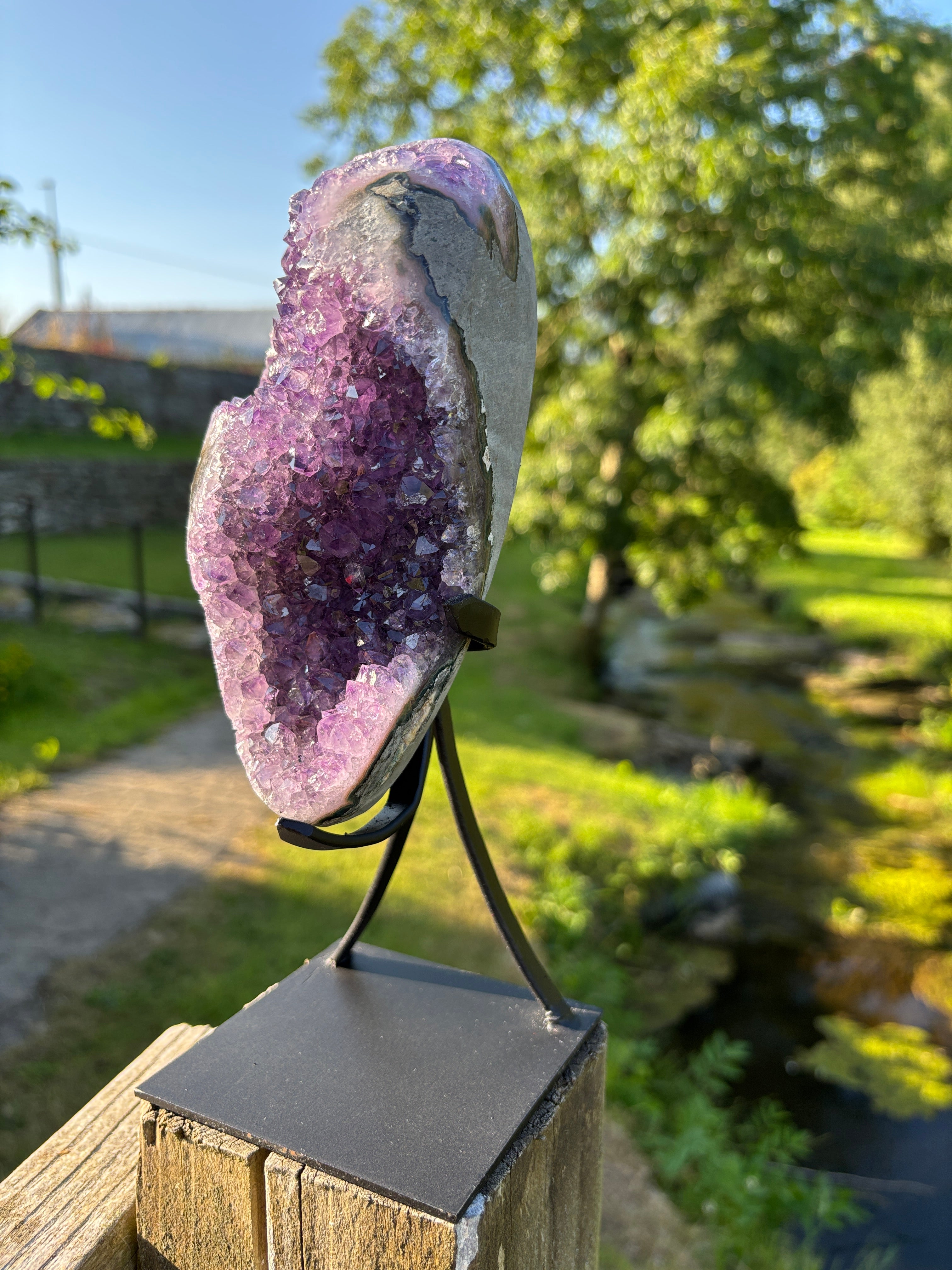 Extra Quality Amethyst Druzy Geode on Elegant Black Stand | Natural Brazilian Amethyst Cluster | Luxury Home Decor Crystal