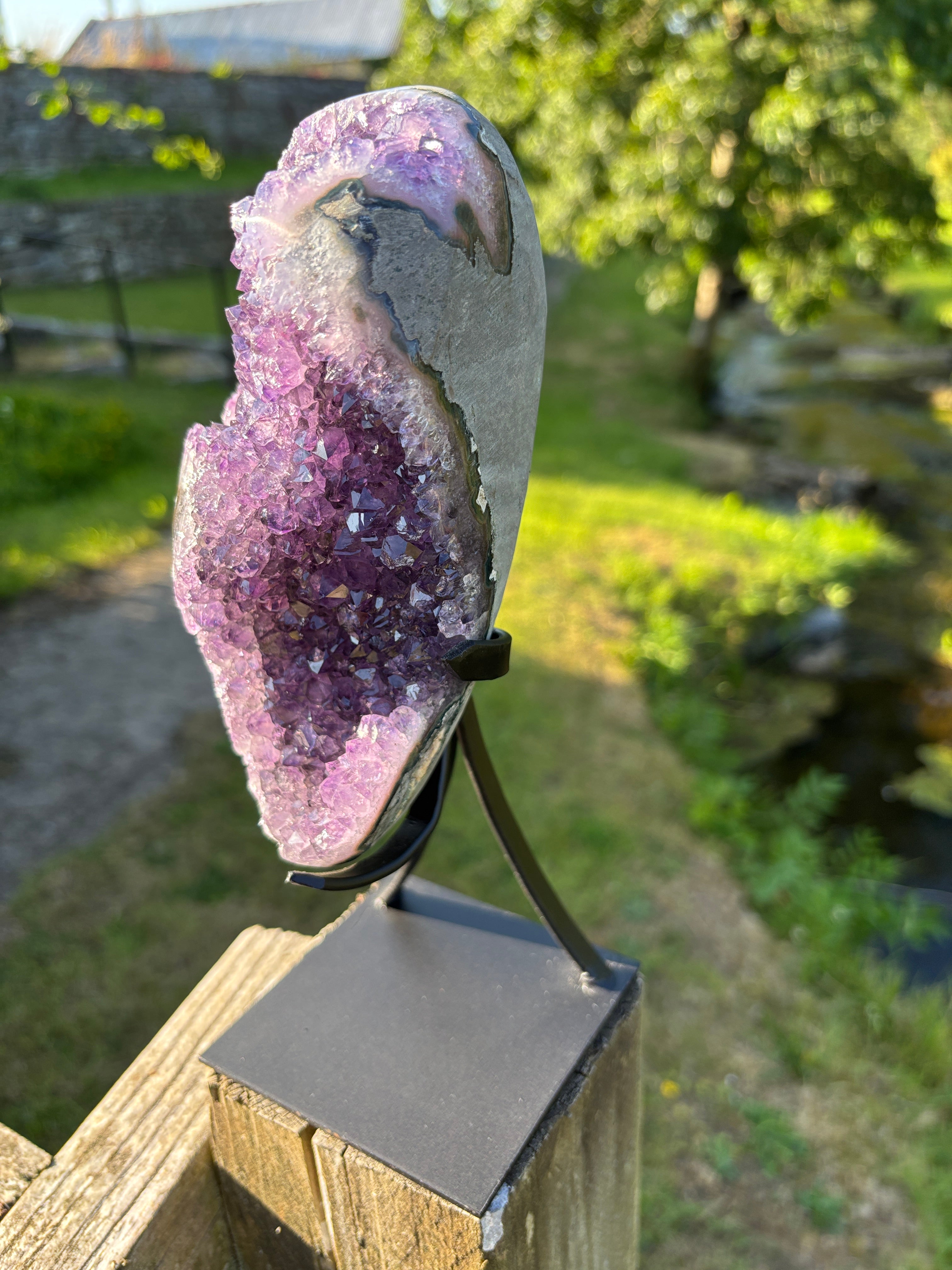 Extra Quality Amethyst Druzy Geode on Elegant Black Stand | Natural Brazilian Amethyst Cluster | Luxury Home Decor Crystal