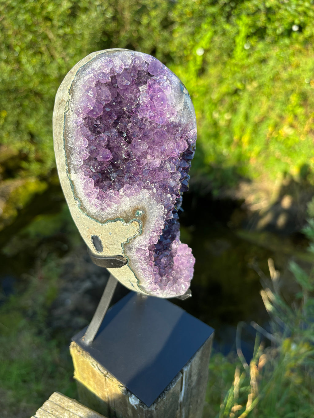 Extra Quality Amethyst Druzy Geode on Elegant Black Stand | Natural Brazilian Amethyst Cluster | Luxury Home Decor Crystal