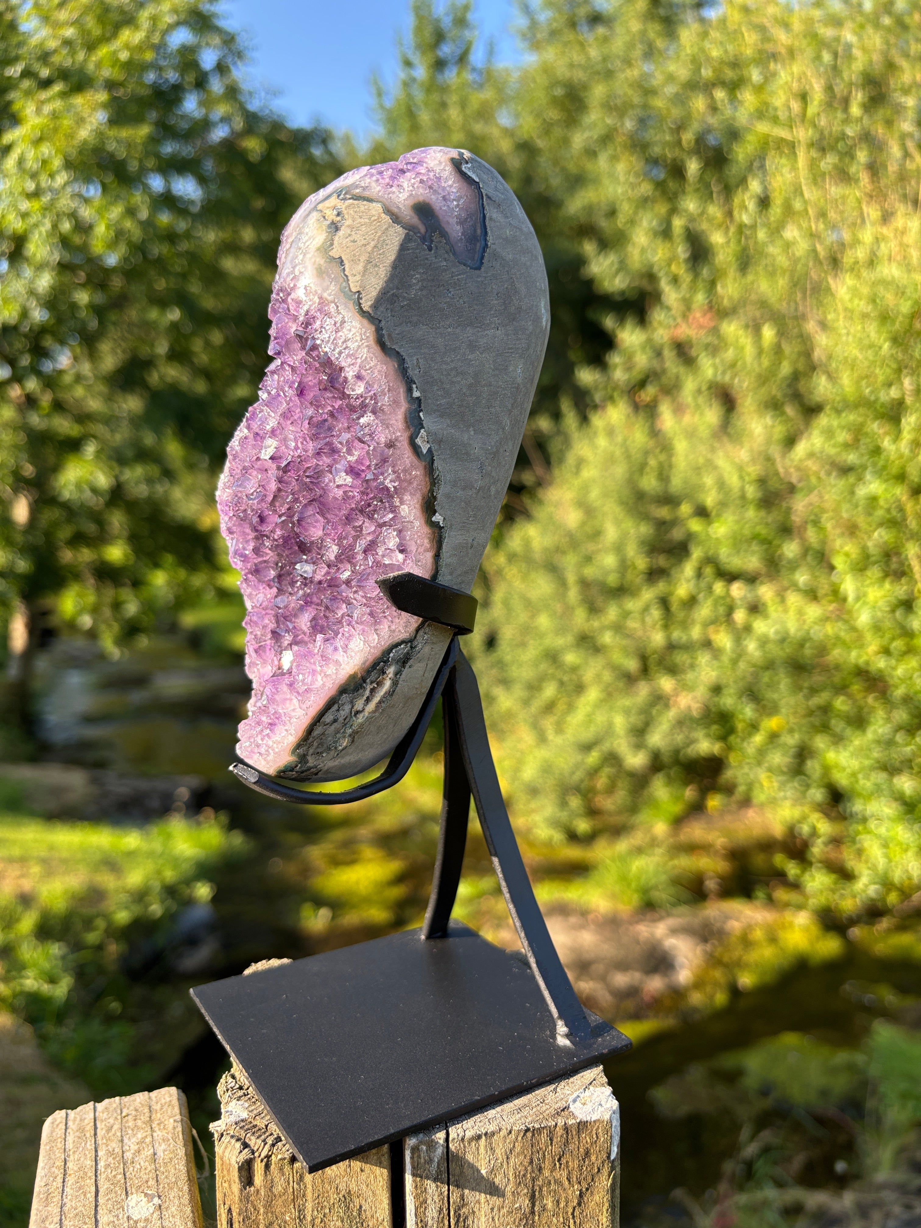 Extra Quality Amethyst Druzy Geode on Elegant Black Stand | Natural Brazilian Amethyst Cluster | Luxury Home Decor Crystal