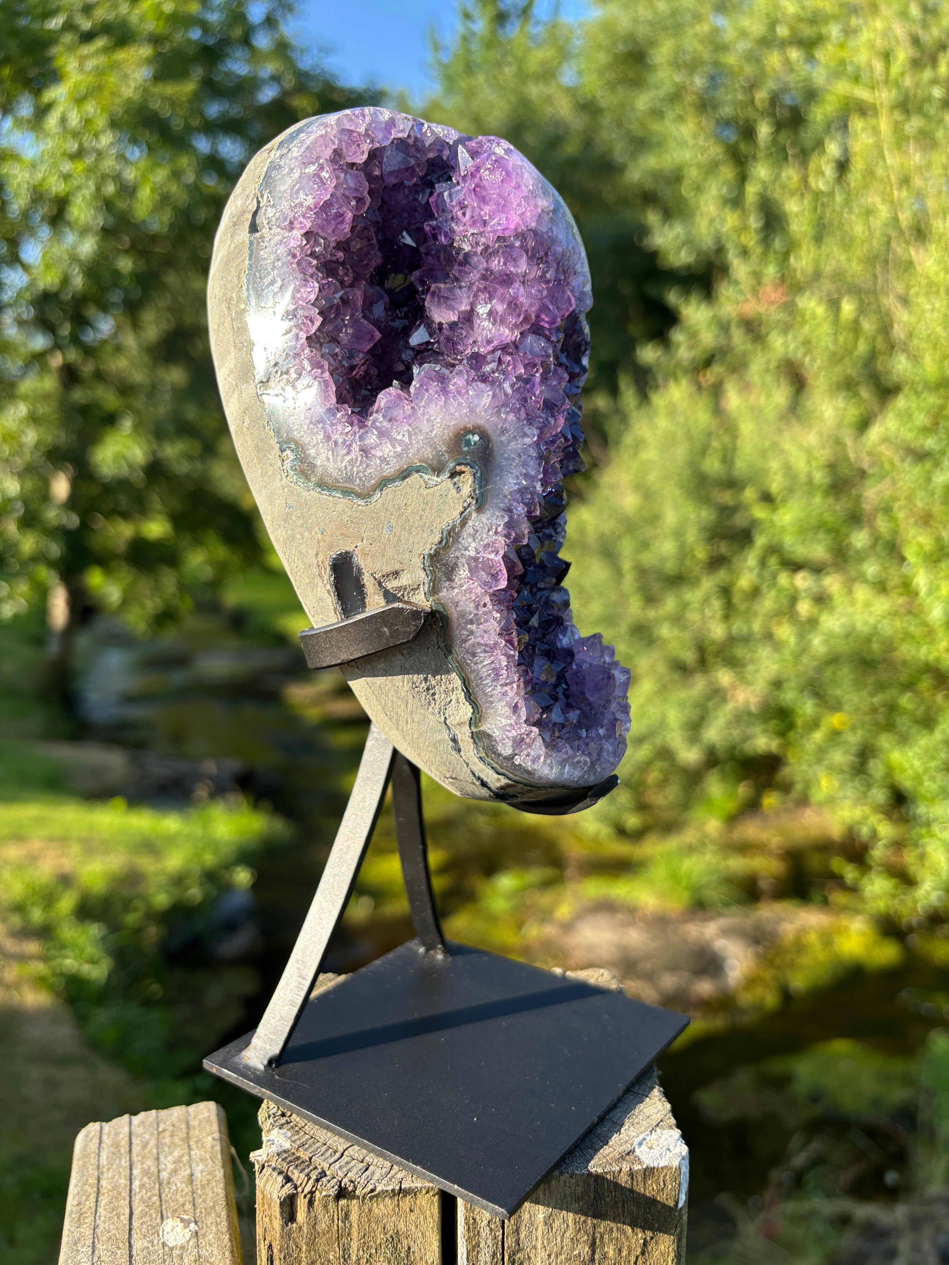 Extra Quality Amethyst Druzy Geode on Elegant Black Stand | Natural Brazilian Amethyst Cluster | Luxury Home Decor Crystal