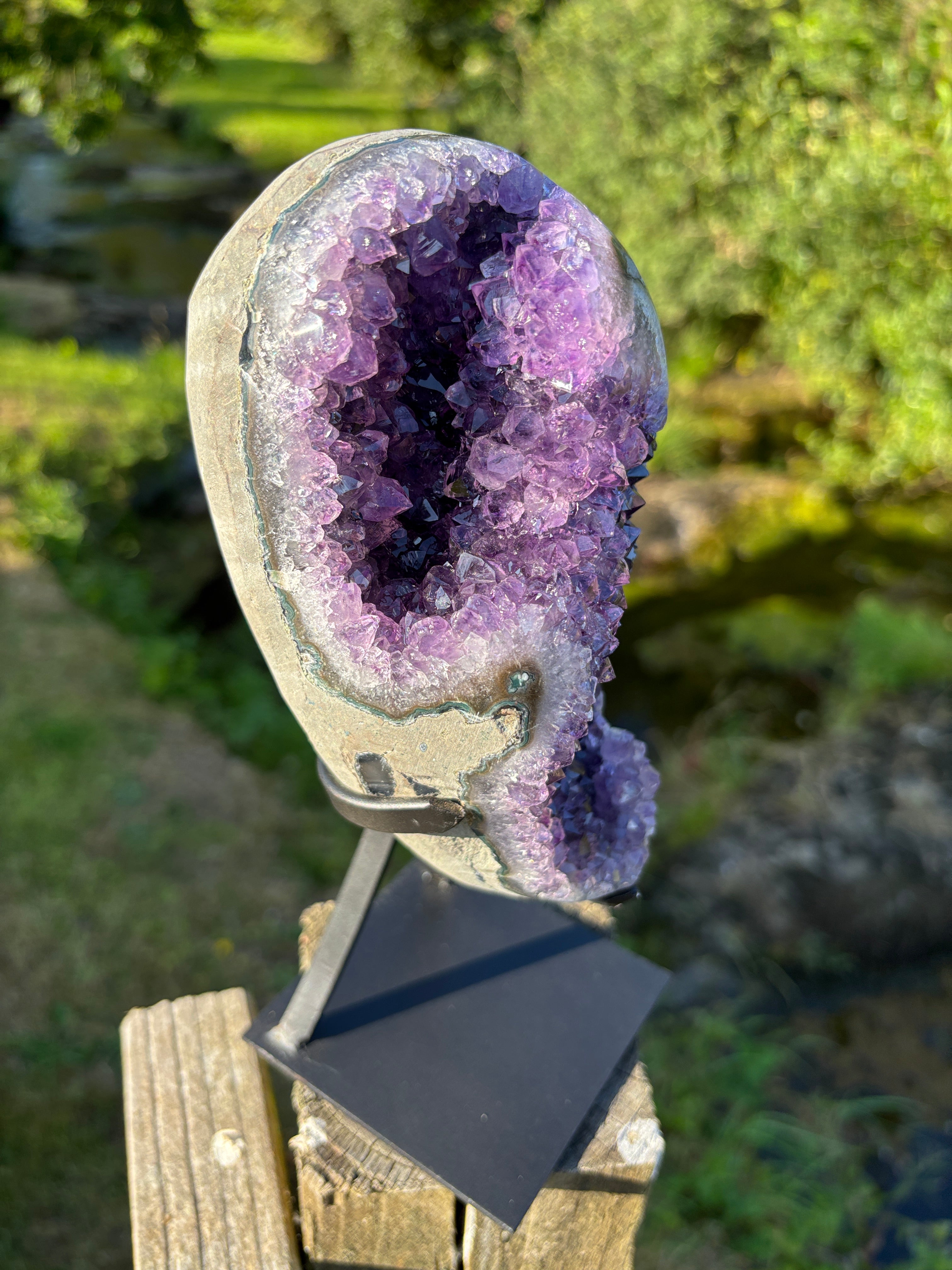 Extra Quality Amethyst Druzy Geode on Elegant Black Stand | Natural Brazilian Amethyst Cluster | Luxury Home Decor Crystal