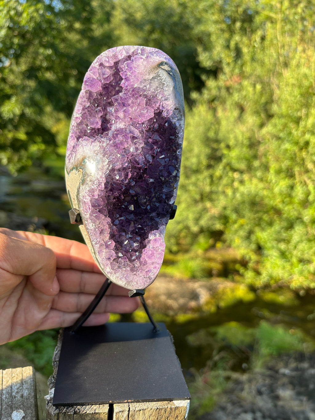 Extra Quality Amethyst Druzy Geode on Elegant Black Stand | Natural Brazilian Amethyst Cluster | Luxury Home Decor Crystal