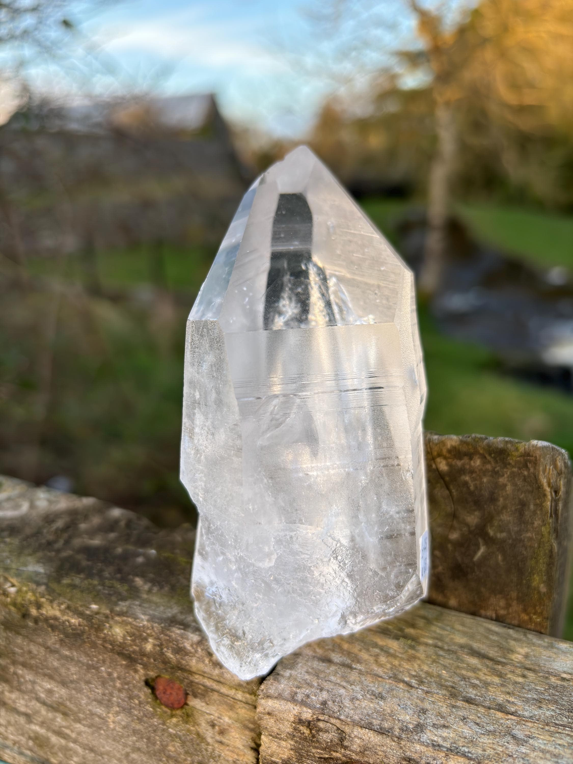 Natural Lemurian Quartz Point | Extra Clear Brazilian Crystal | High Transparency | Raw Collector Specimen | Healing Stone