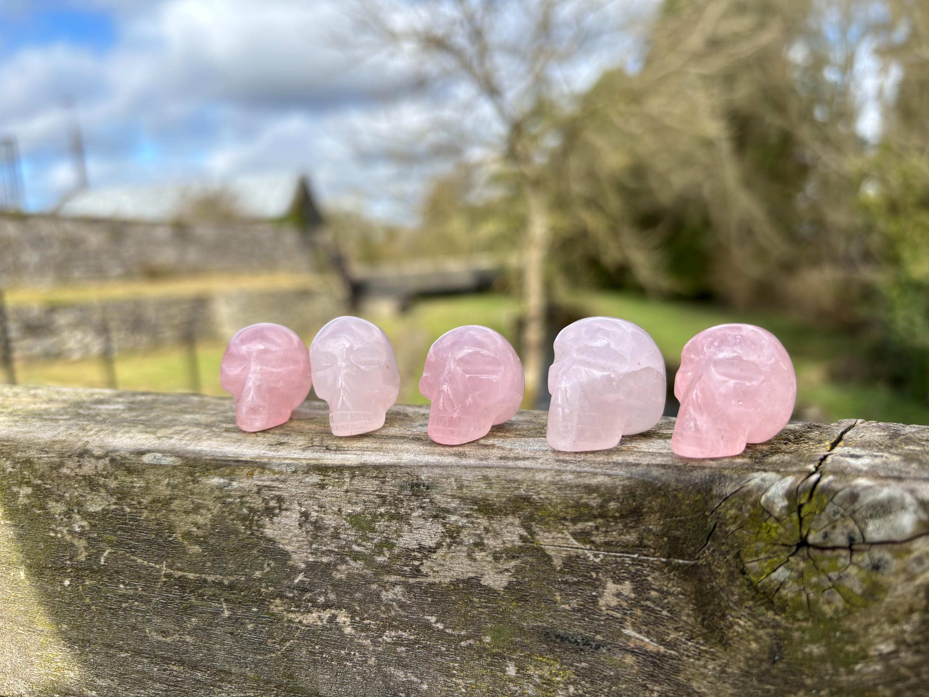Rose Quartz Mini Skull | Hand Carved Crystal Skull | Love Stone Healing Crystal | Gothic Crystal Decor