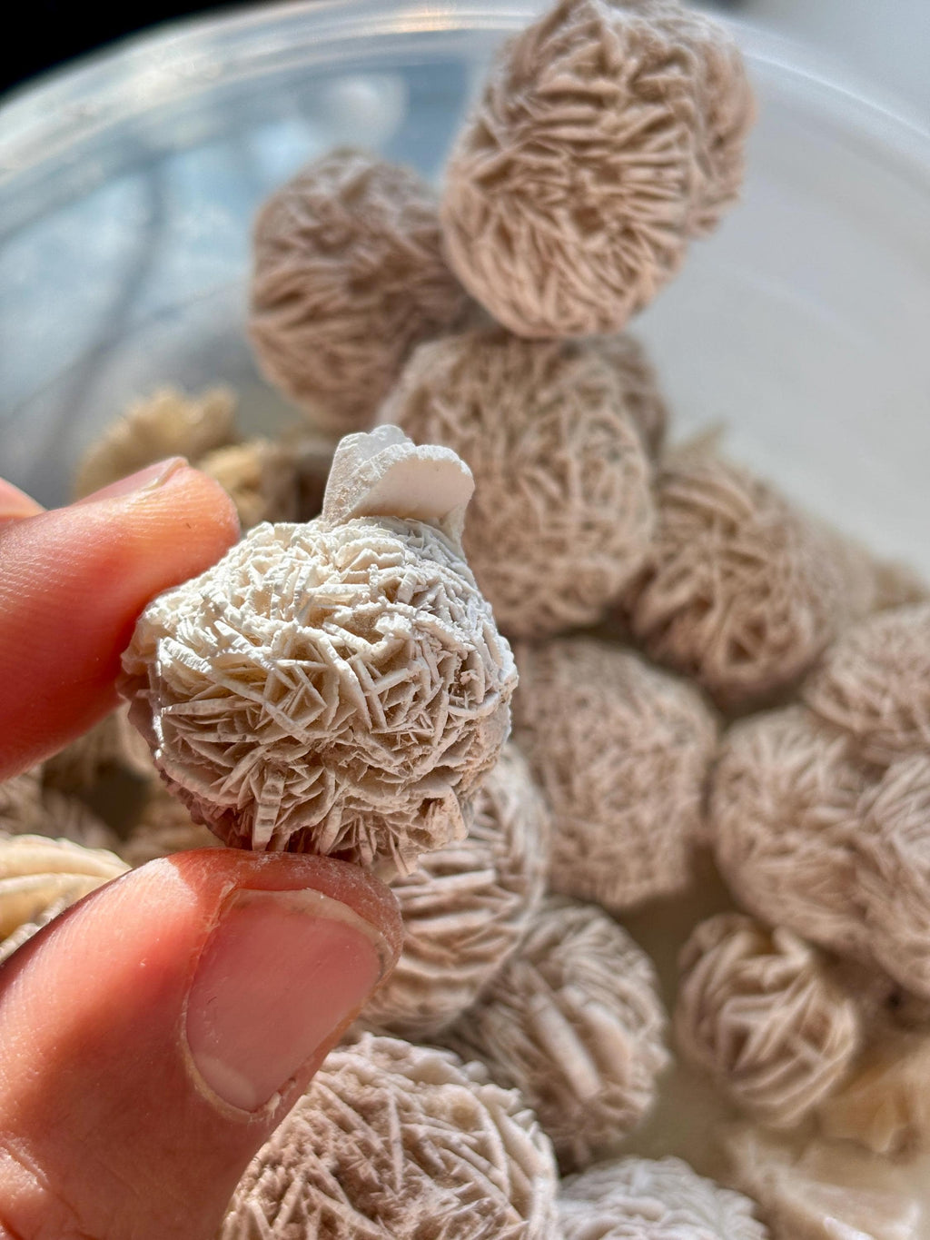 Raw Desert Rose Selenite • Morocco Gypsum Crystal (18g)