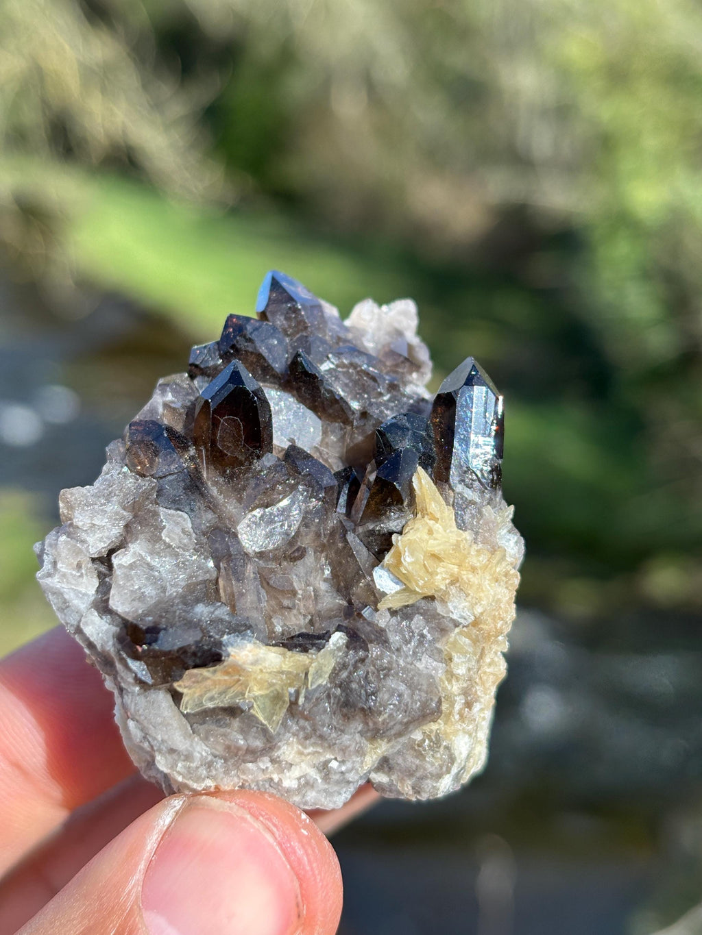 Morion Quartz with Mica | Black Smoky Quartz Cluster | Rare Collector Crystal | Grounding Protection Stone