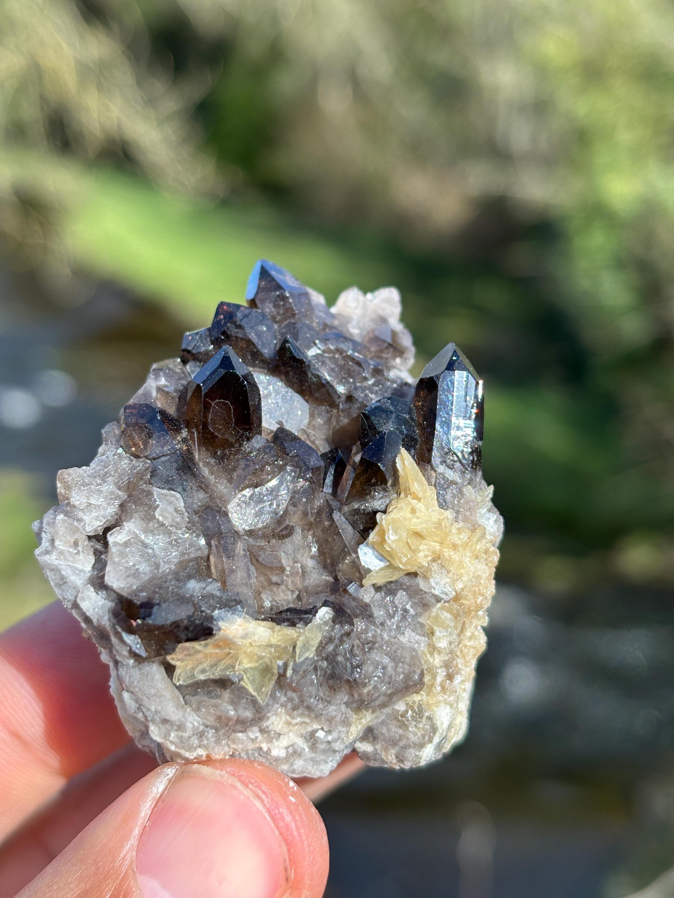Morion Quartz with Mica | Black Smoky Quartz Cluster | Rare Collector Crystal | Grounding Protection Stone