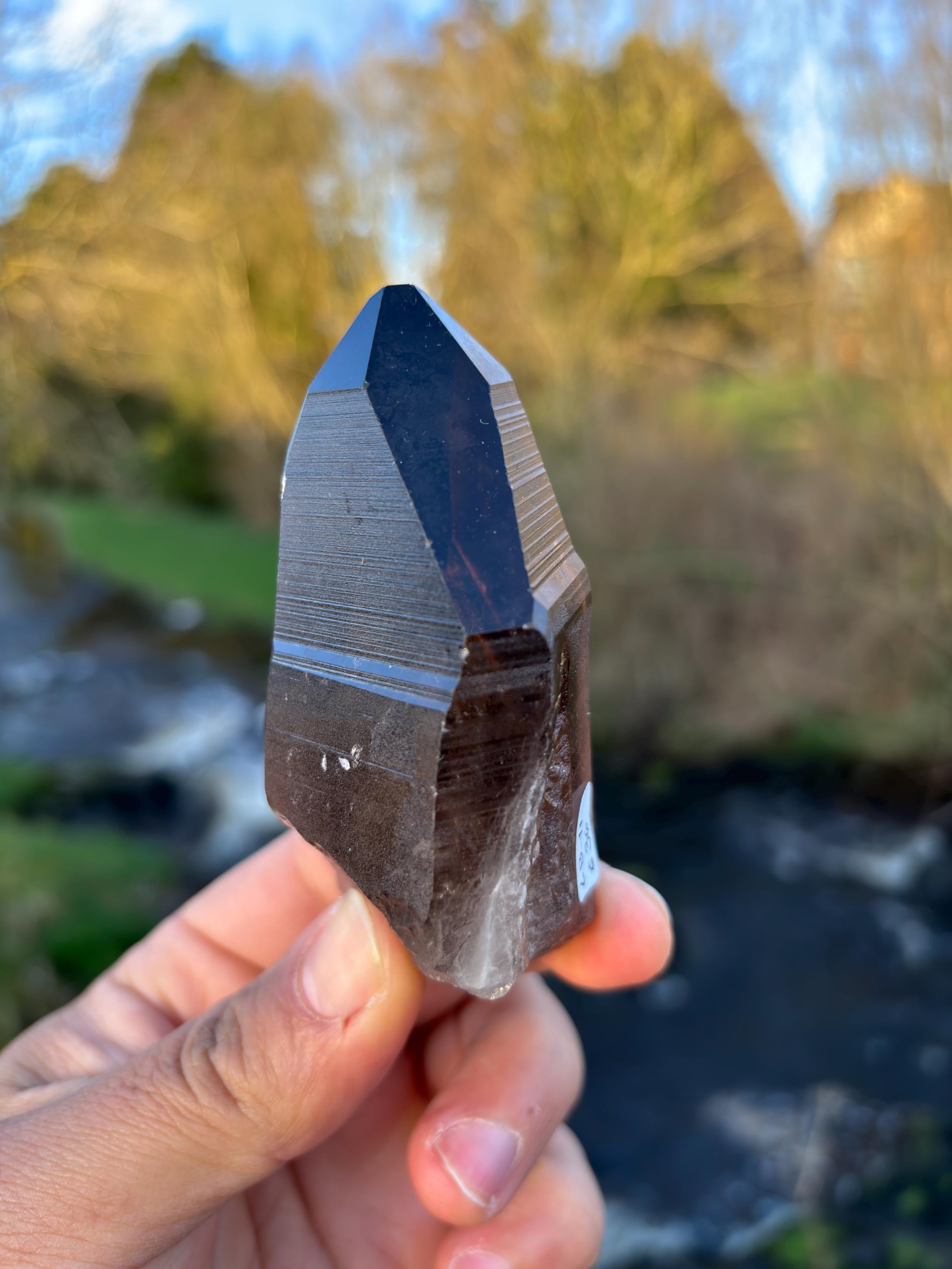 Smoky Lemurian Quartz Point | Natural Brazilian Crystal | Grounding Protection Stone | Raw Collector Specimen