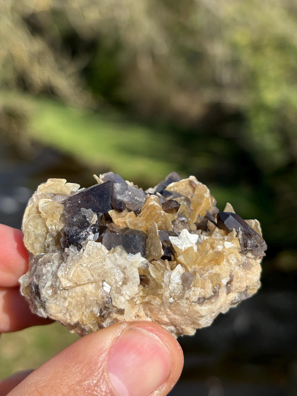 Morion Quartz with Mica | Black Smoky Quartz Cluster | Rare Collector Crystal | Grounding Protection Stone