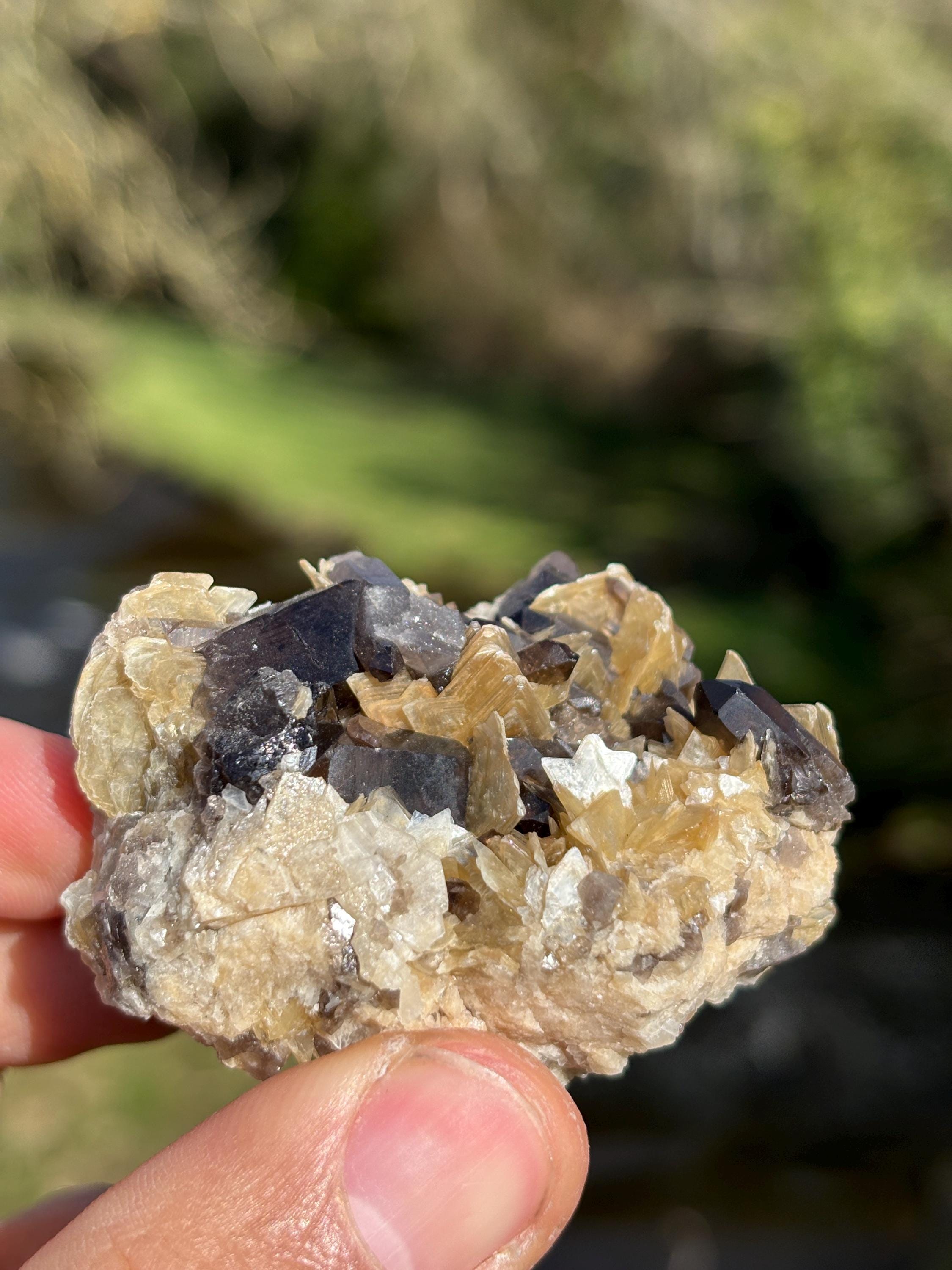 Morion Quartz with Mica | Black Smoky Quartz Cluster | Rare Collector Crystal | Grounding Protection Stone