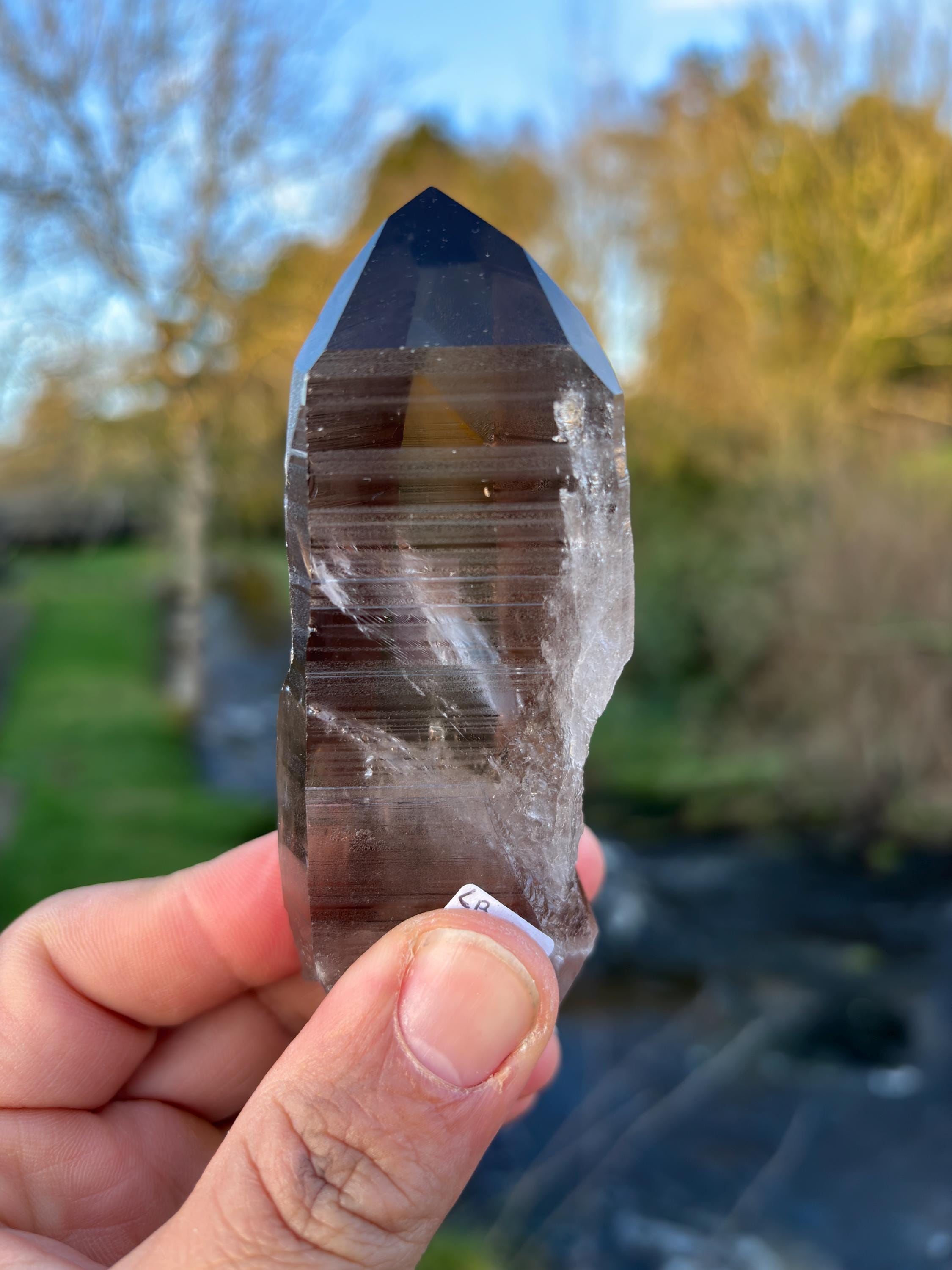 Smoky Lemurian Quartz Point | Natural Brazilian Crystal | Grounding Protection Stone | Raw Collector Specimen