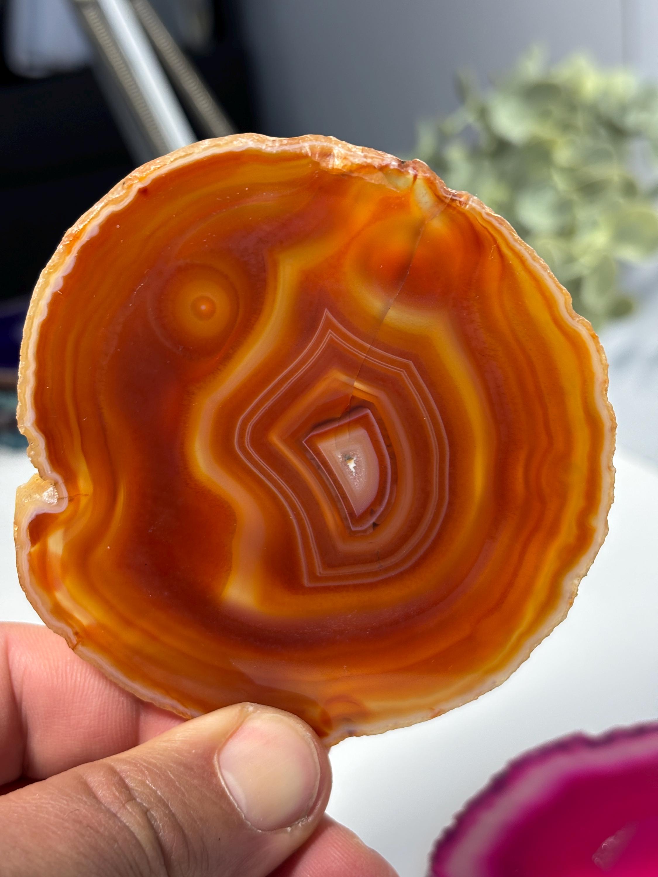 Polished Agate Slice | Colorful Banded Crystal Coaster, Mineral Specimen