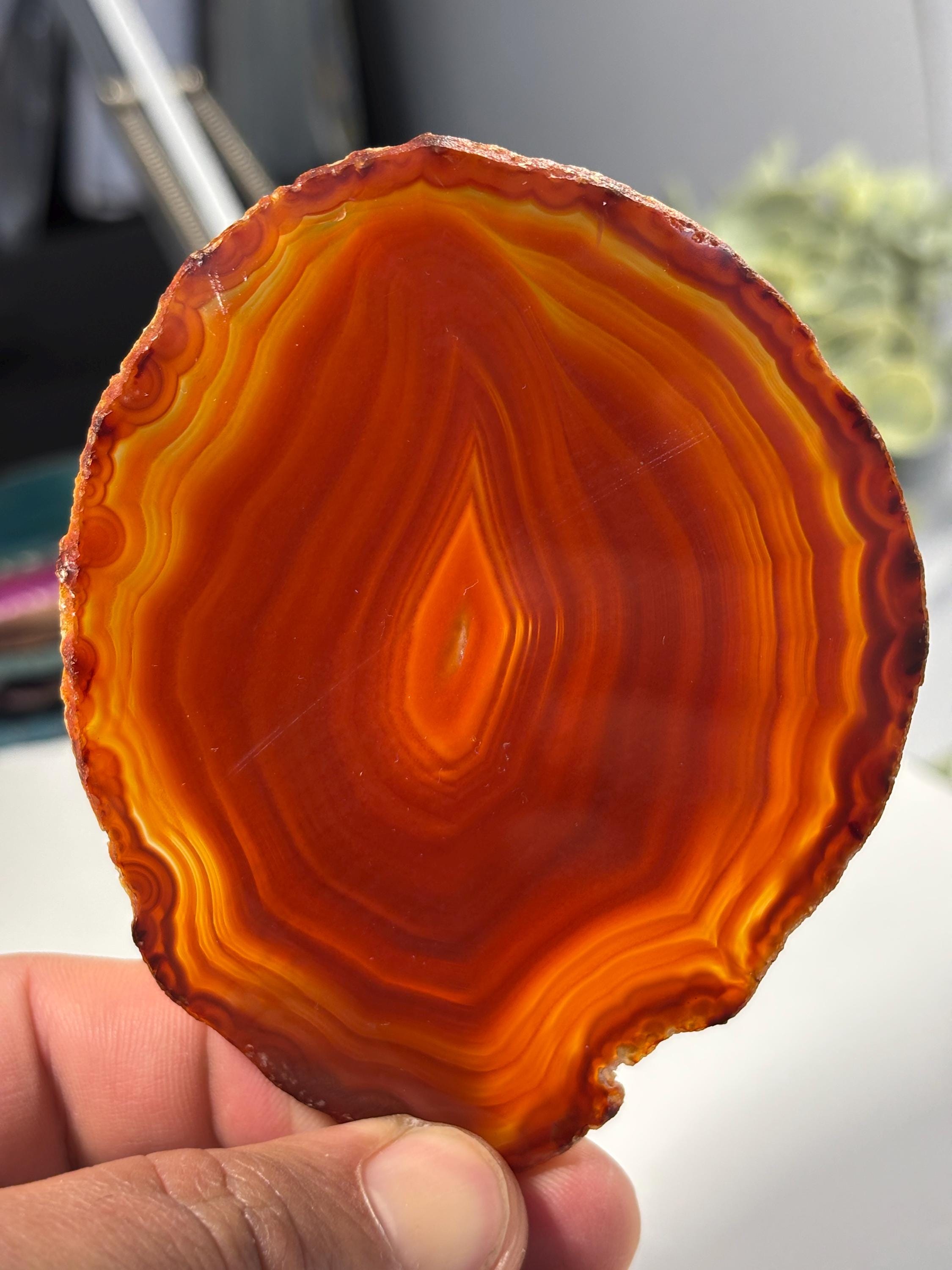 Polished Agate Slice | Colorful Banded Crystal Coaster, Mineral Specimen