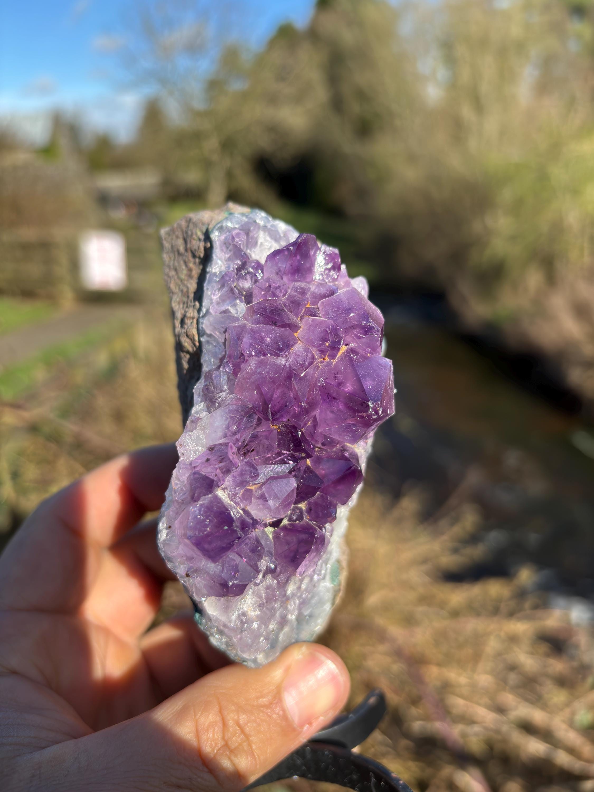Natural Amethyst Druzy Cluster with Base - Purple Crystal Mineral Specimen