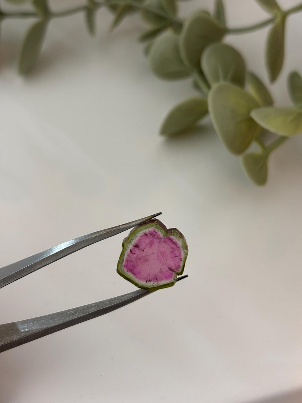 Watermelon Tourmaline Slice | Pink & Green Crystal | Heart Chakra Stone | Collector Gemstone | Natural Tourmaline
