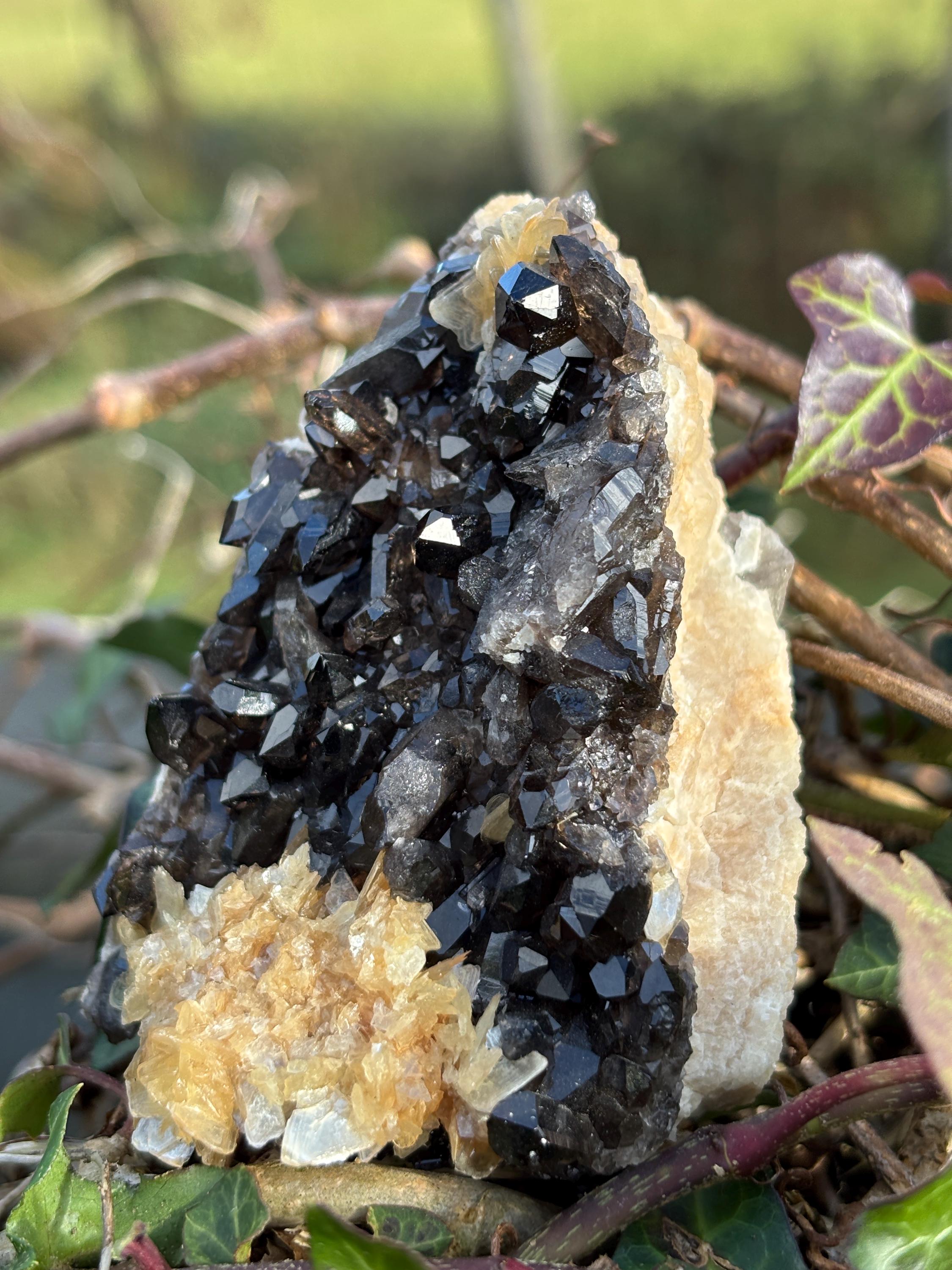 Morion Quartz Cluster with Mica | Black Smoky Crystal Specimen