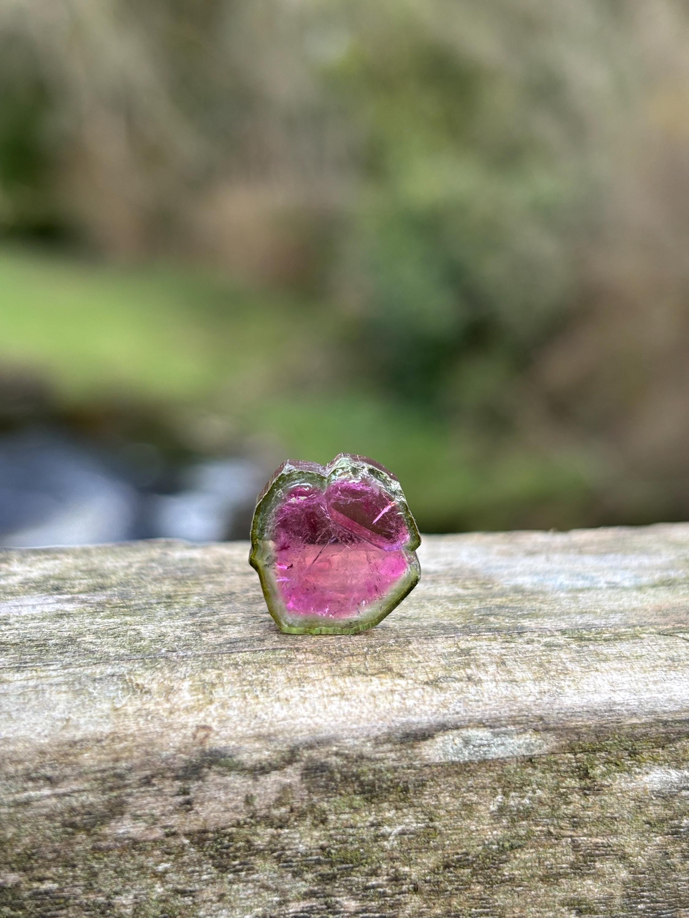 Watermelon Tourmaline Slice | Pink & Green Crystal | Heart Chakra Stone | Collector Gemstone | Natural Tourmaline