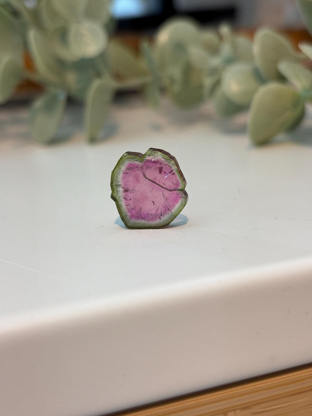 Watermelon Tourmaline Slice | Pink & Green Crystal | Heart Chakra Stone | Collector Gemstone | Natural Tourmaline