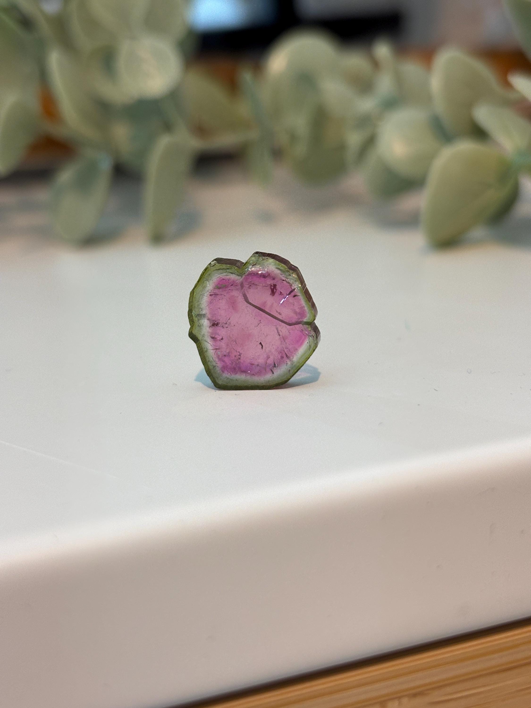 Watermelon Tourmaline Slice | Pink & Green Crystal | Heart Chakra Stone | Collector Gemstone | Natural Tourmaline