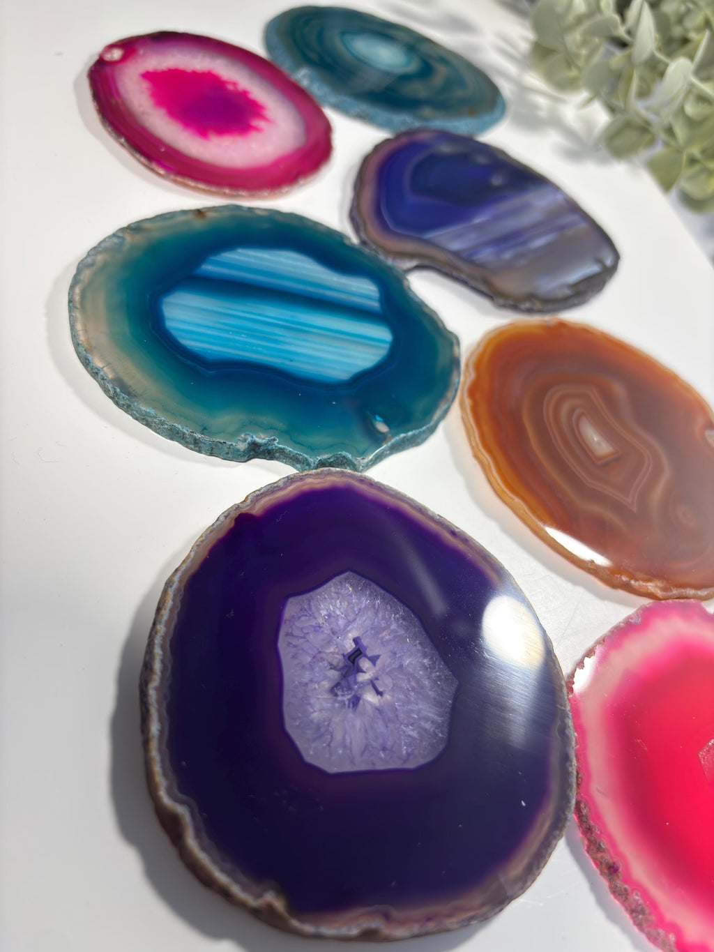 Polished Agate Slice | Colorful Banded Crystal Coaster, Mineral Specimen