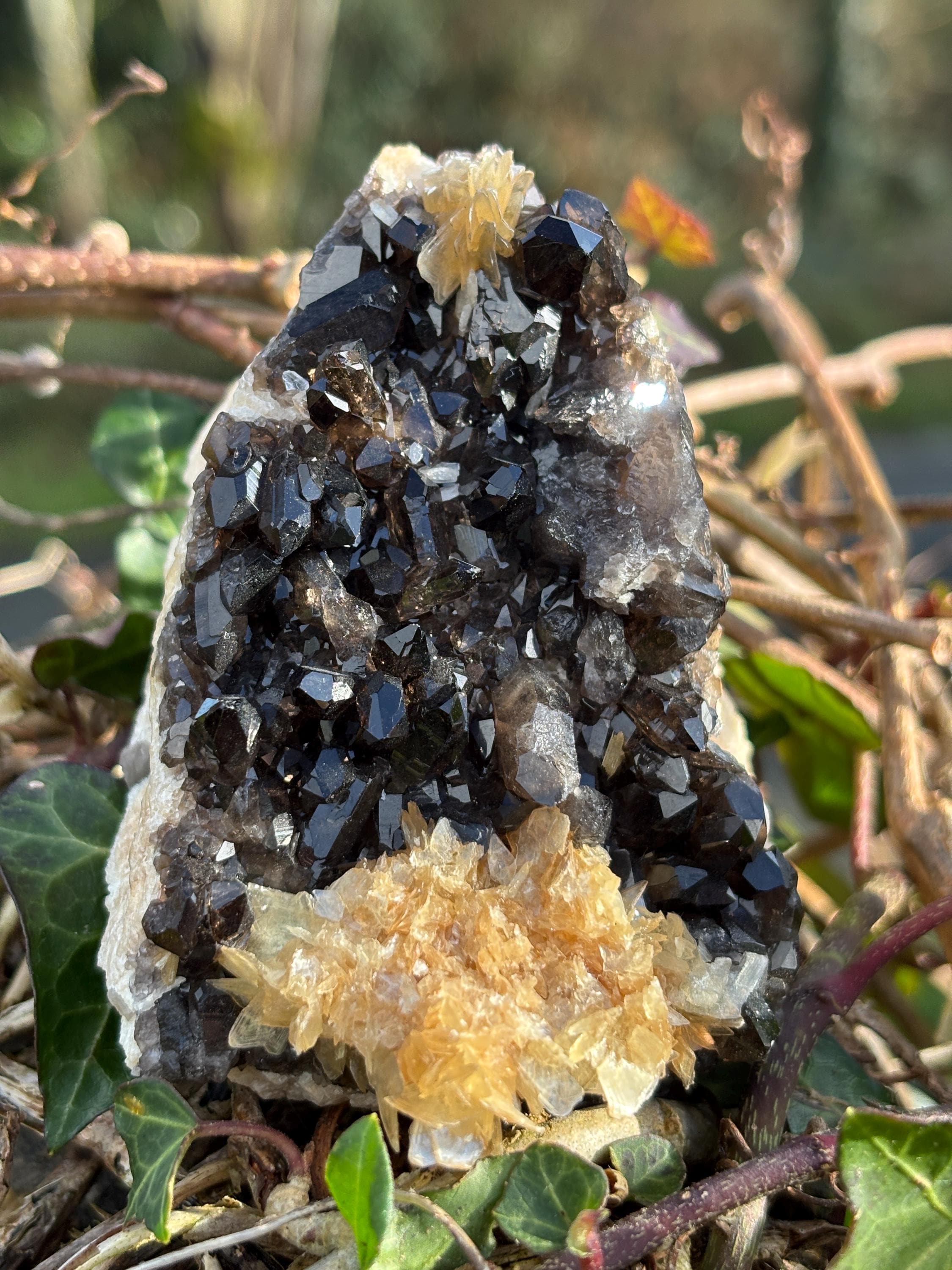 Morion Quartz Cluster with Mica | Black Smoky Crystal Specimen