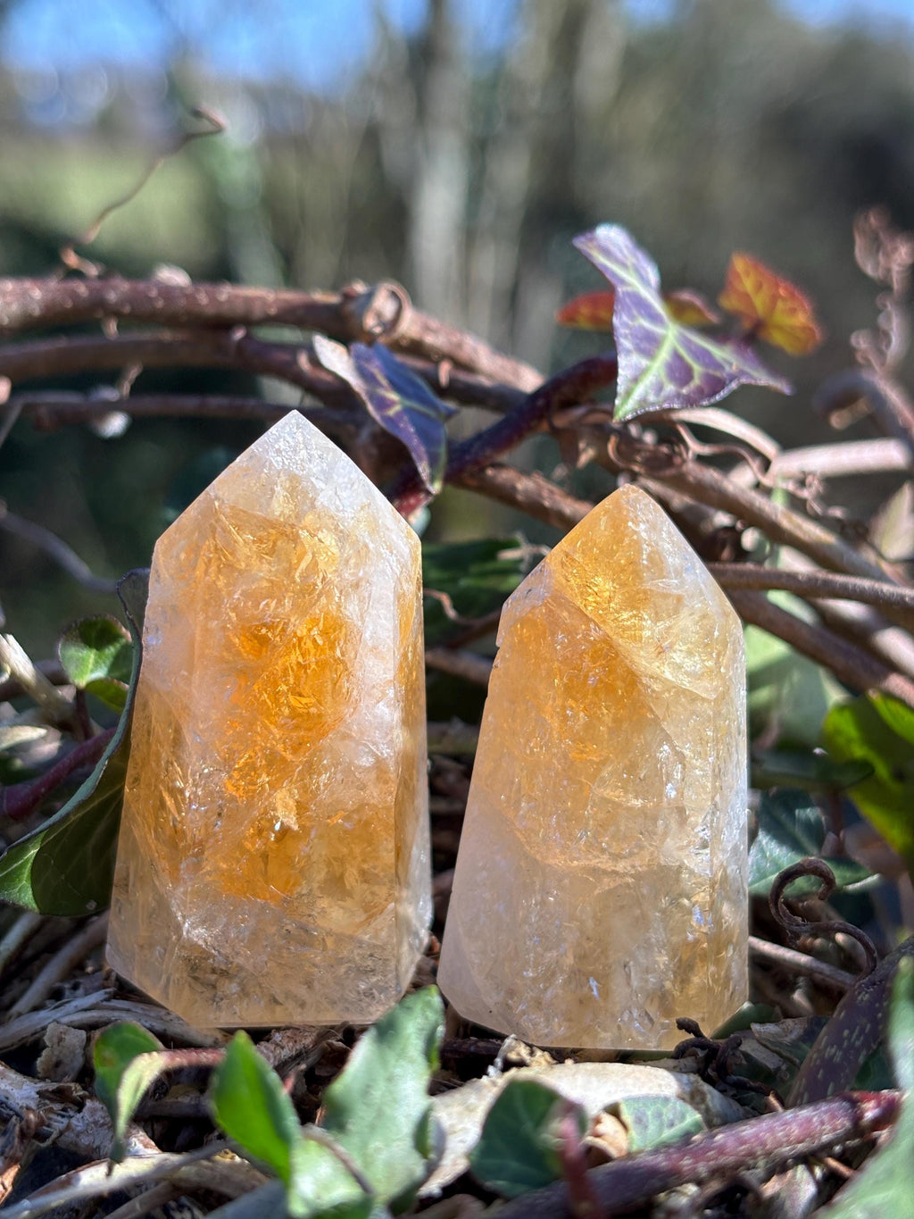 Golden Citrine Point | Polished Abundance Crystal (~50mm)